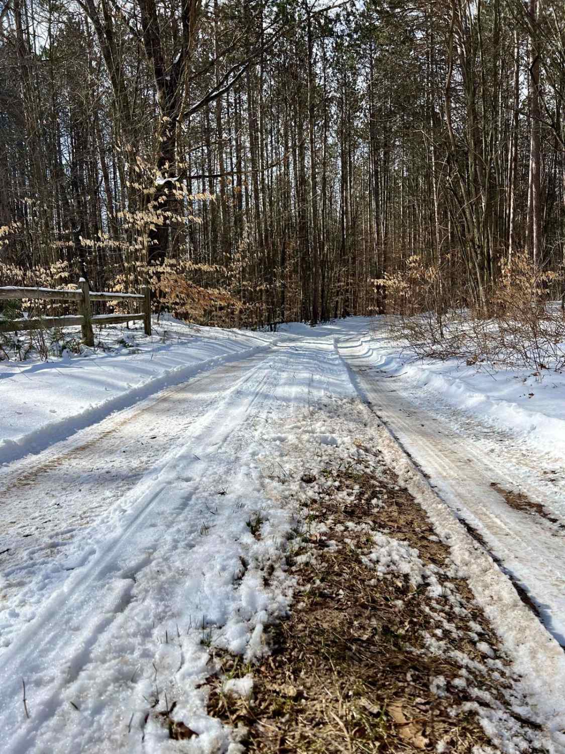 NFS 5532A (Brush Lake Trail)
