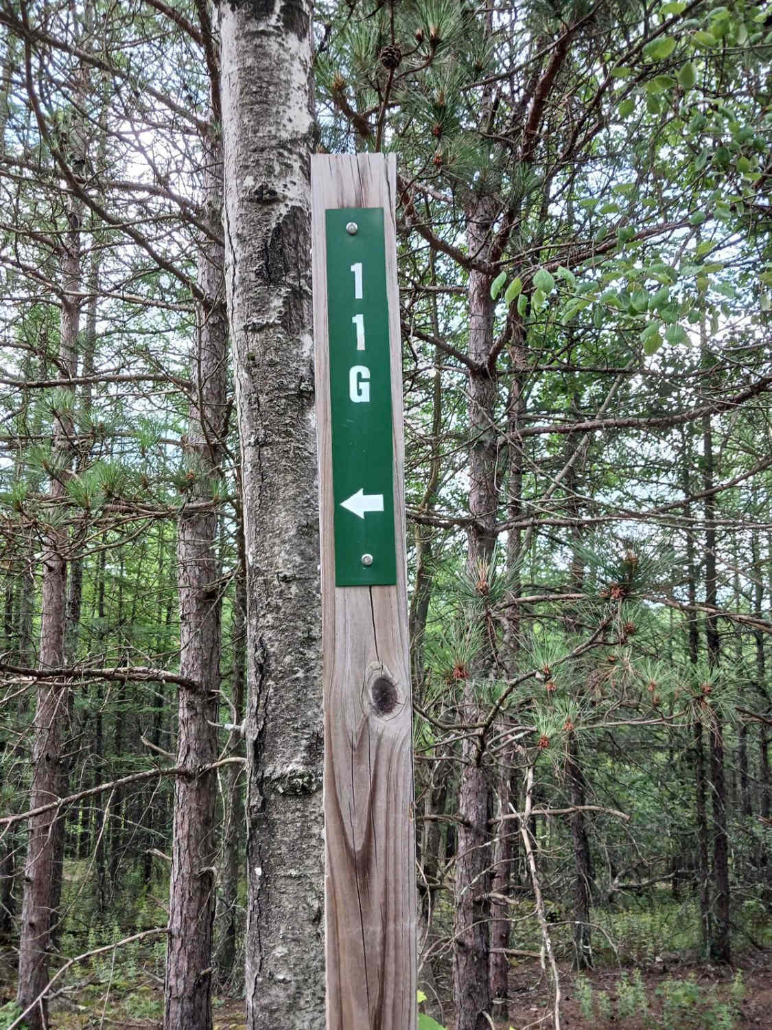 Trail 11G - Rock Run Recreation Area