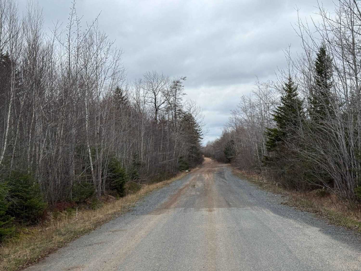 Straight Road Trail
