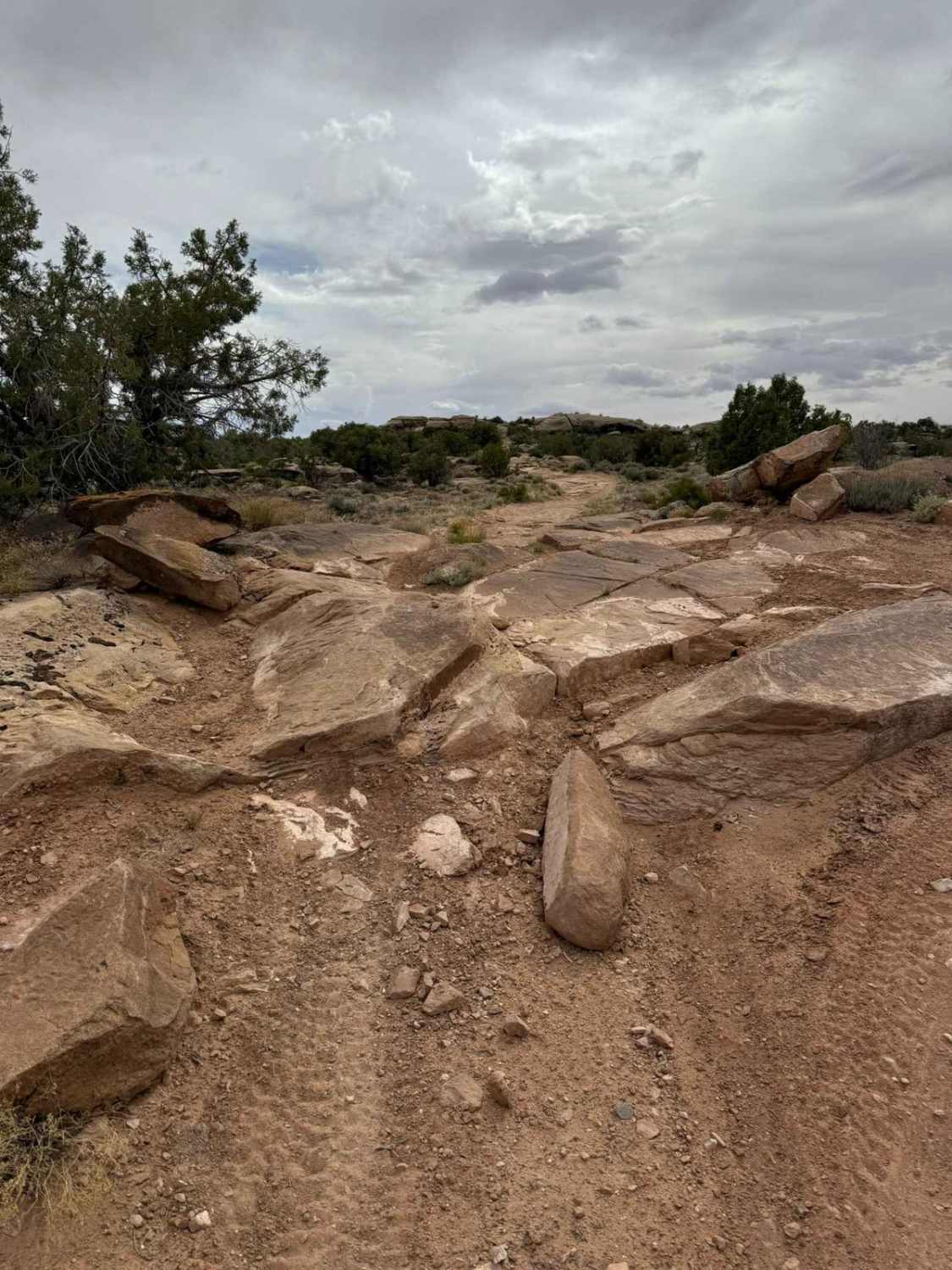 Juniper Trail