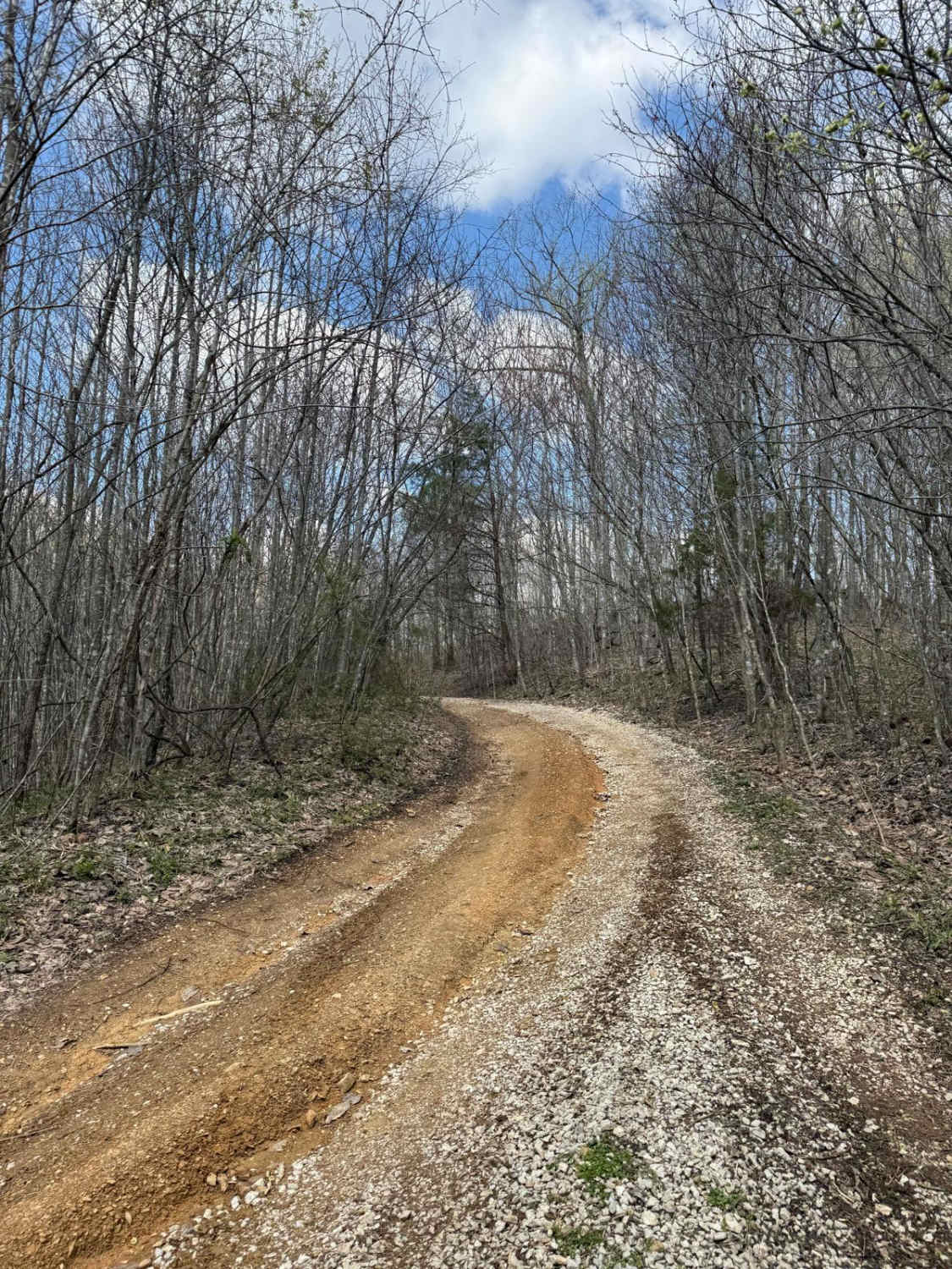 Trail 29