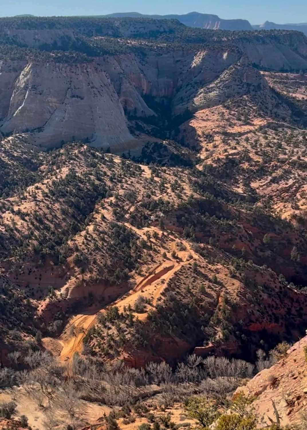 BLM 73M