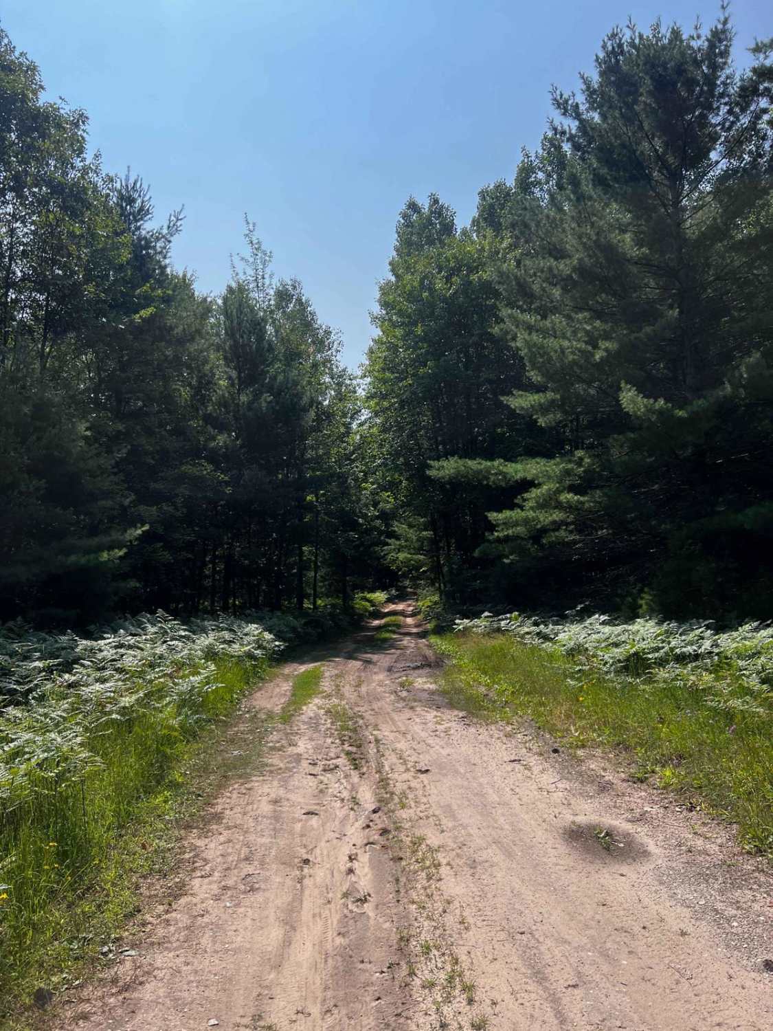 Blind Creek Trail