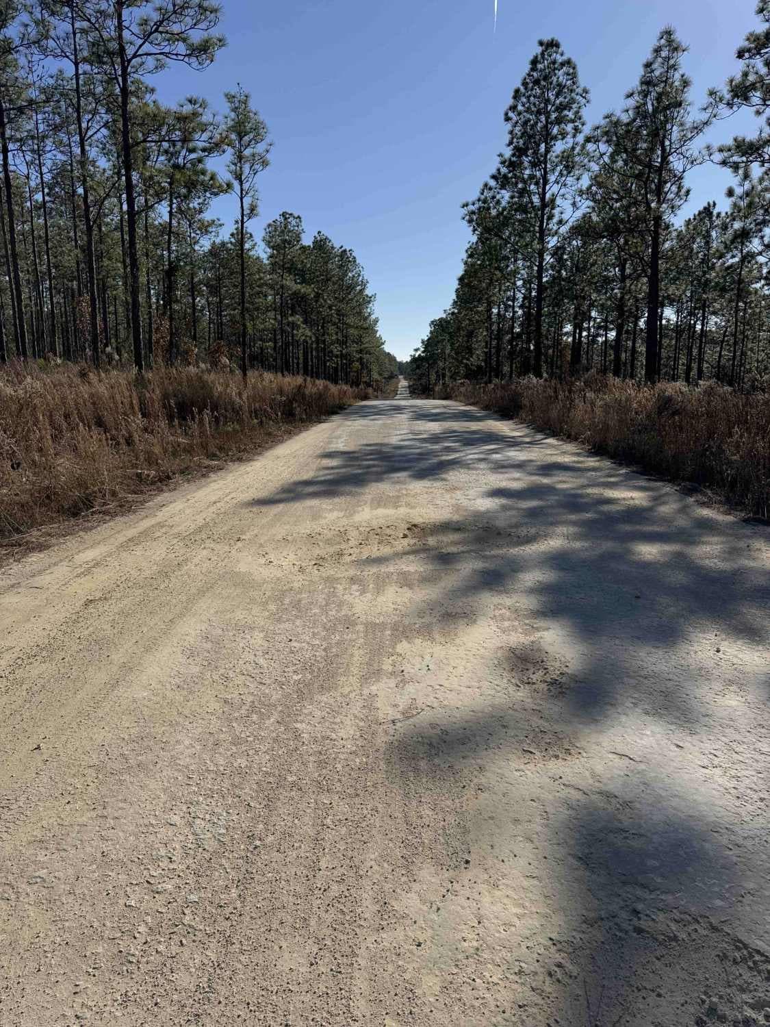 Fort Gates Ferry Road - ONF 29