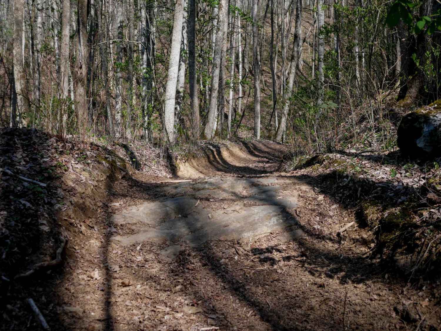 Sawmill Bottoms Trail 8