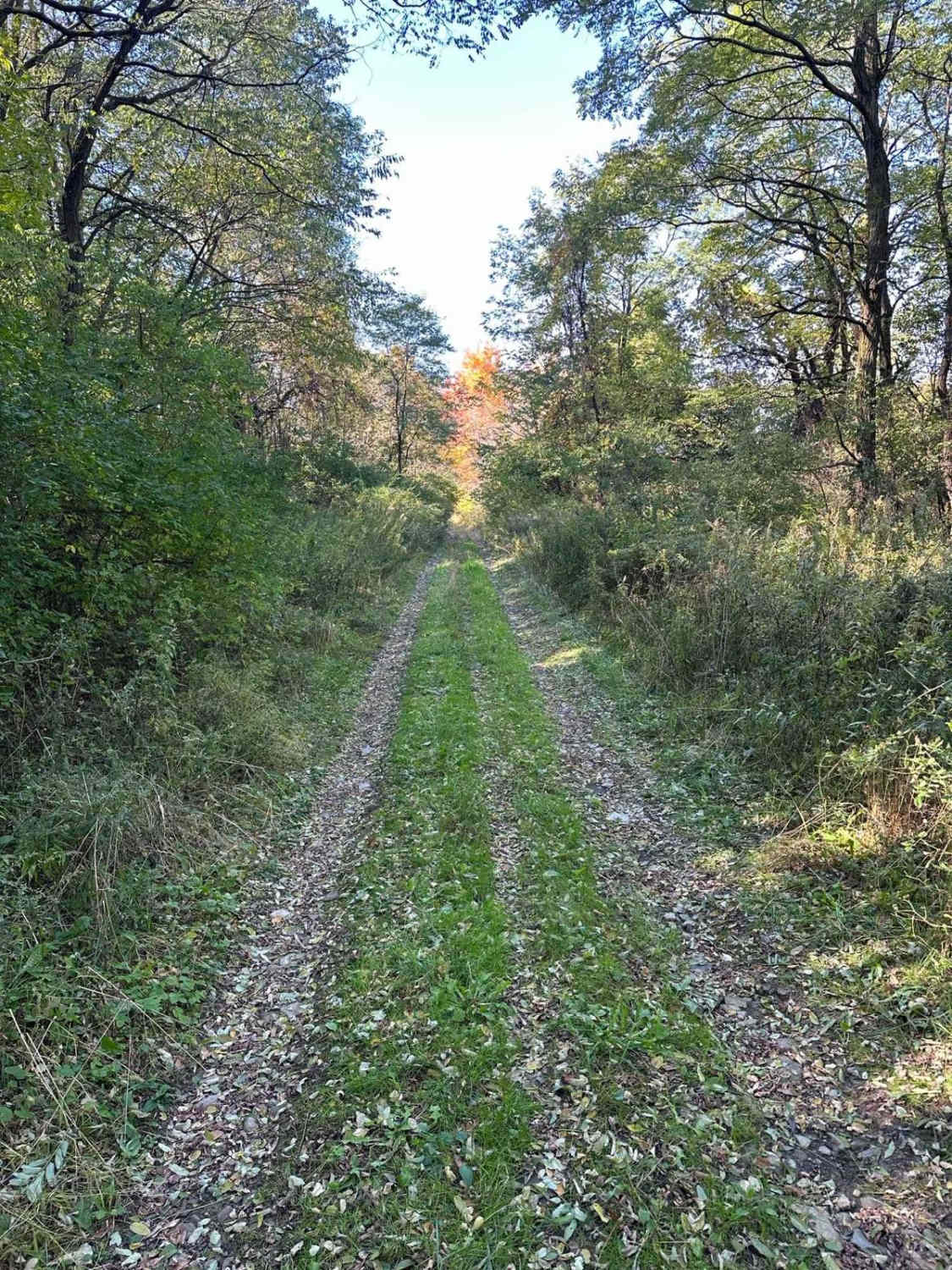 Wood Hill Road