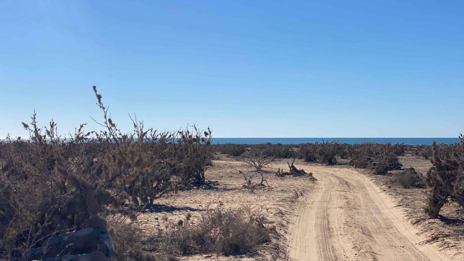 Boca Las Barrancas