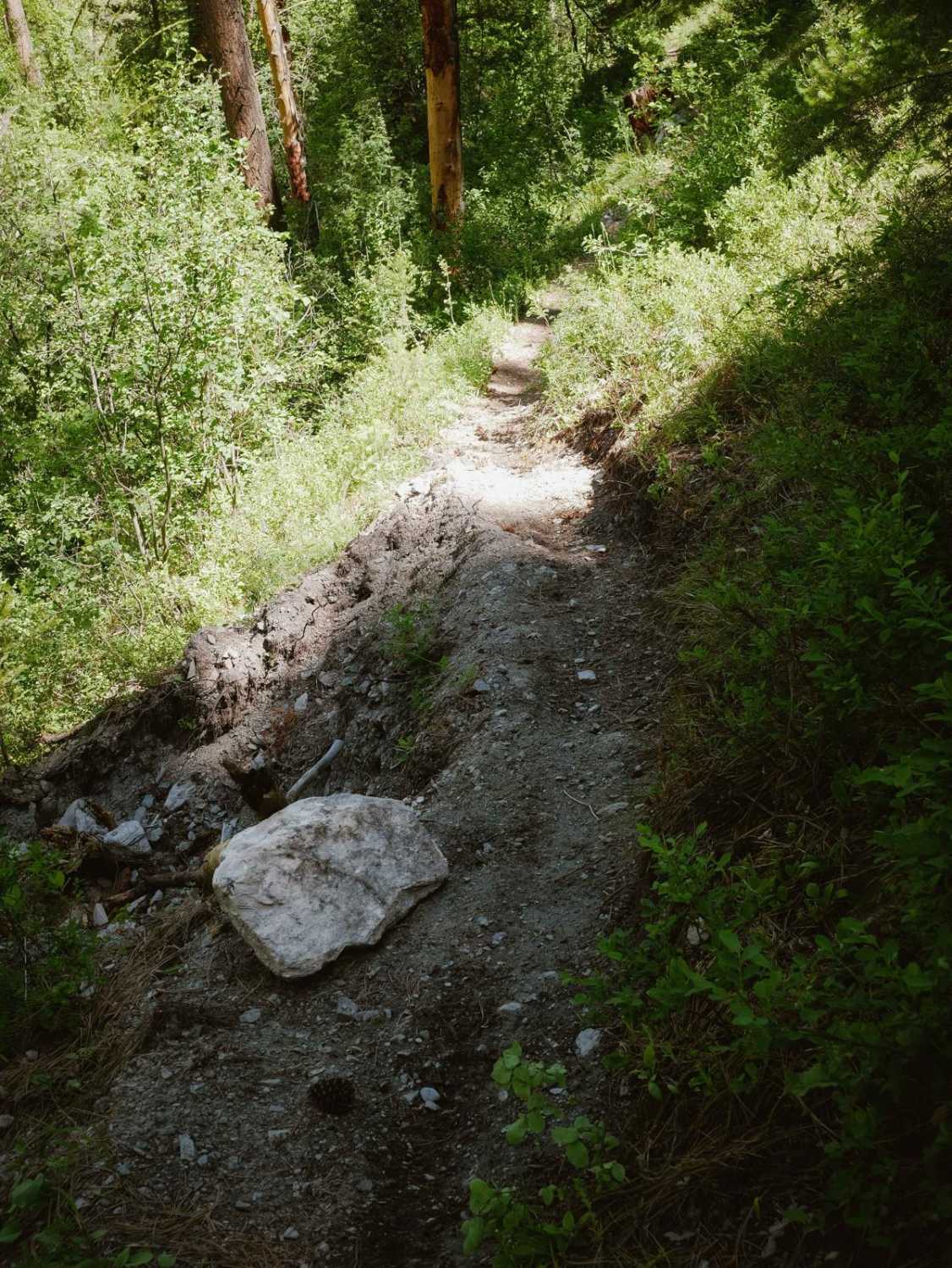 Hughes Creek 