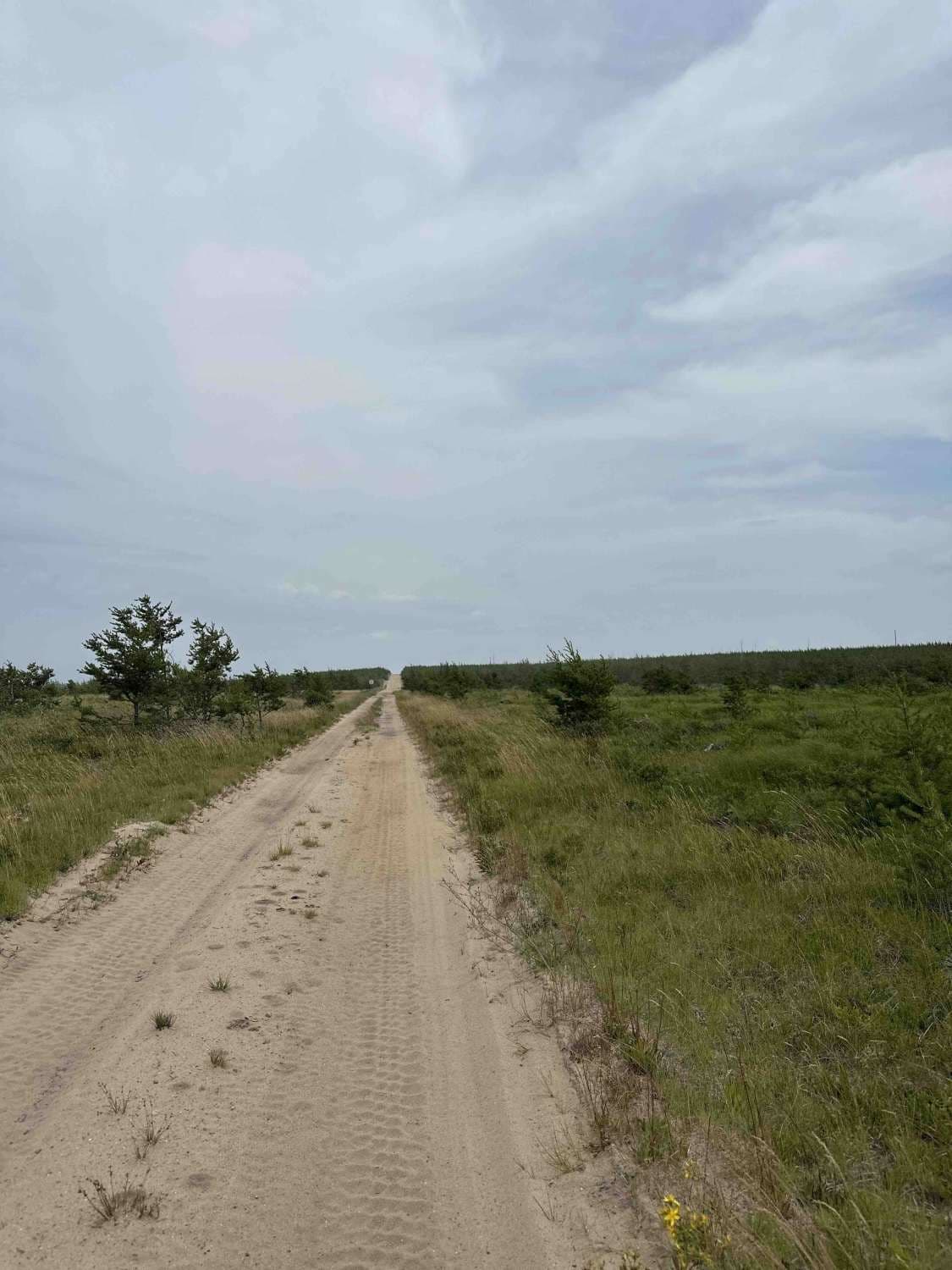 County Road 412 West