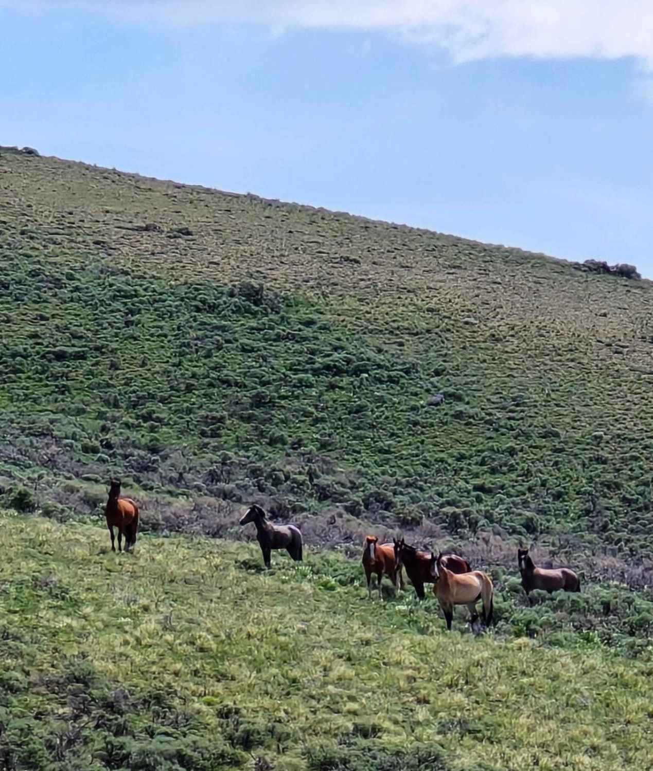 Horse Basin to Dry Gulch