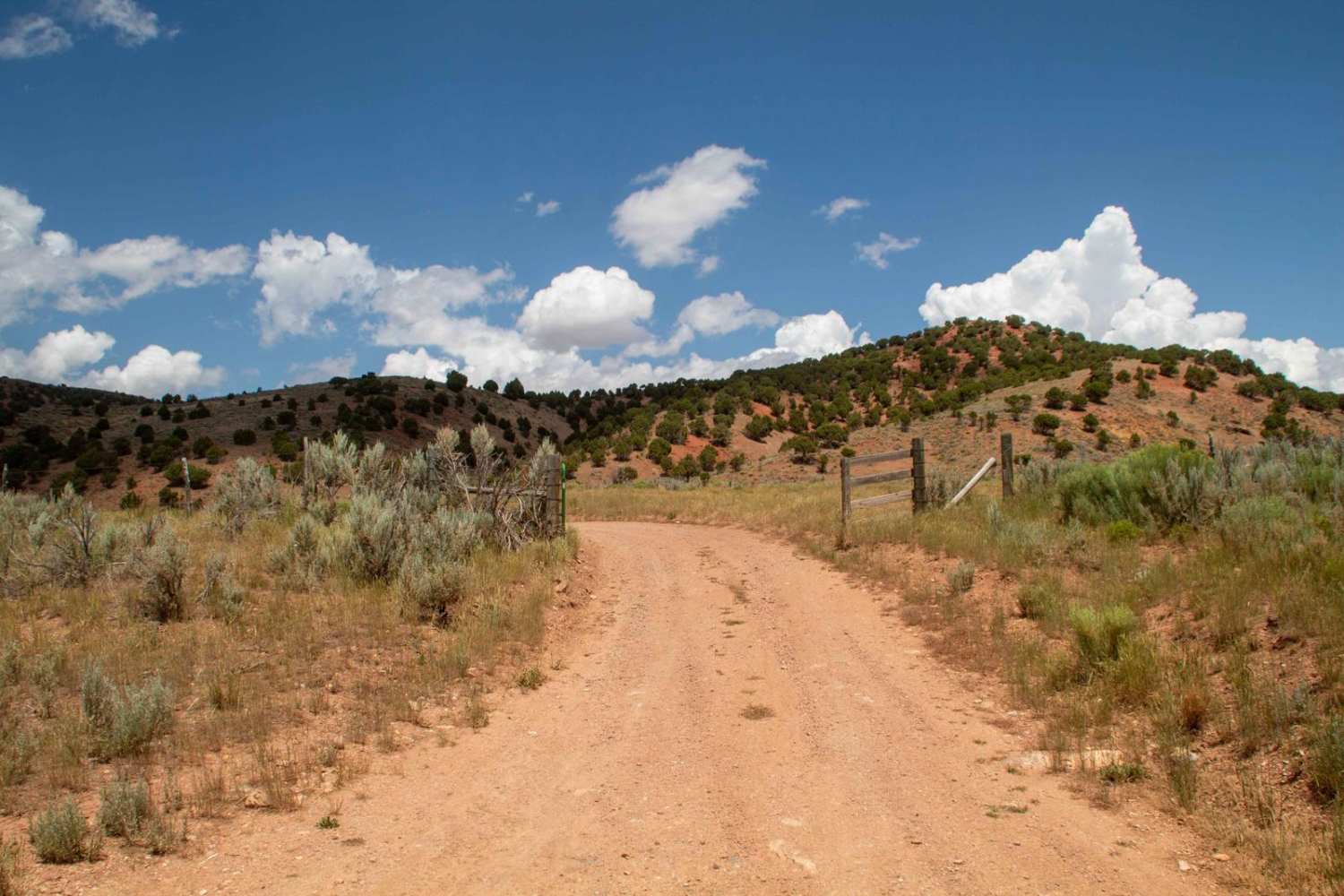 Cutoff Canyon - BLM AR11