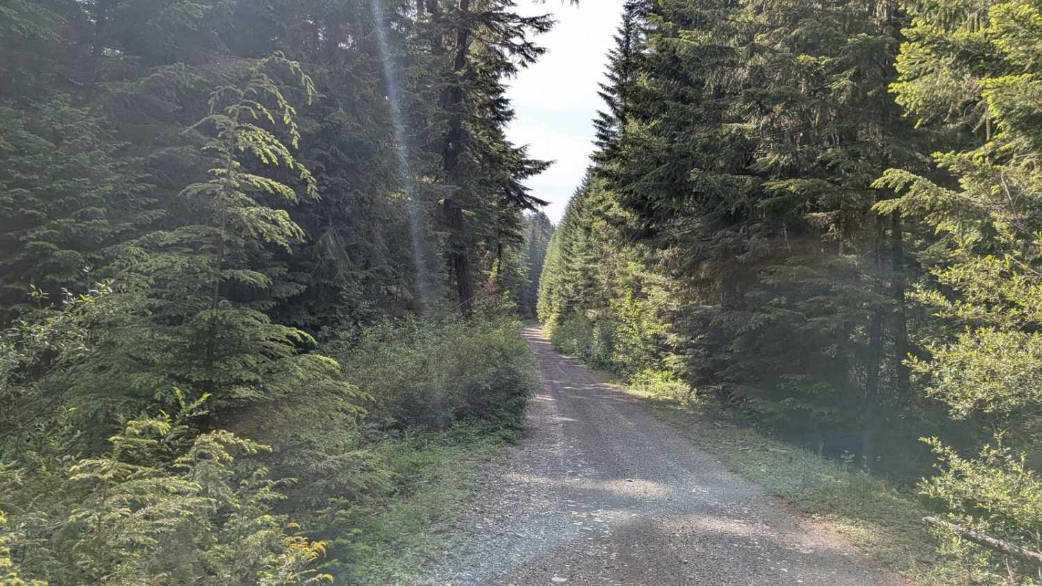 Timothy Lake 42800000