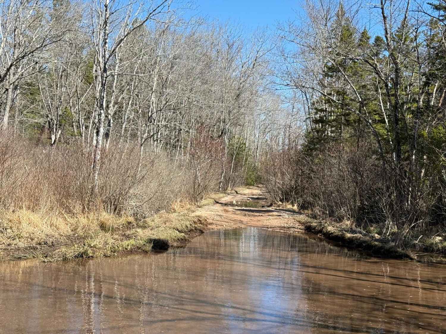 South River Lake Trail