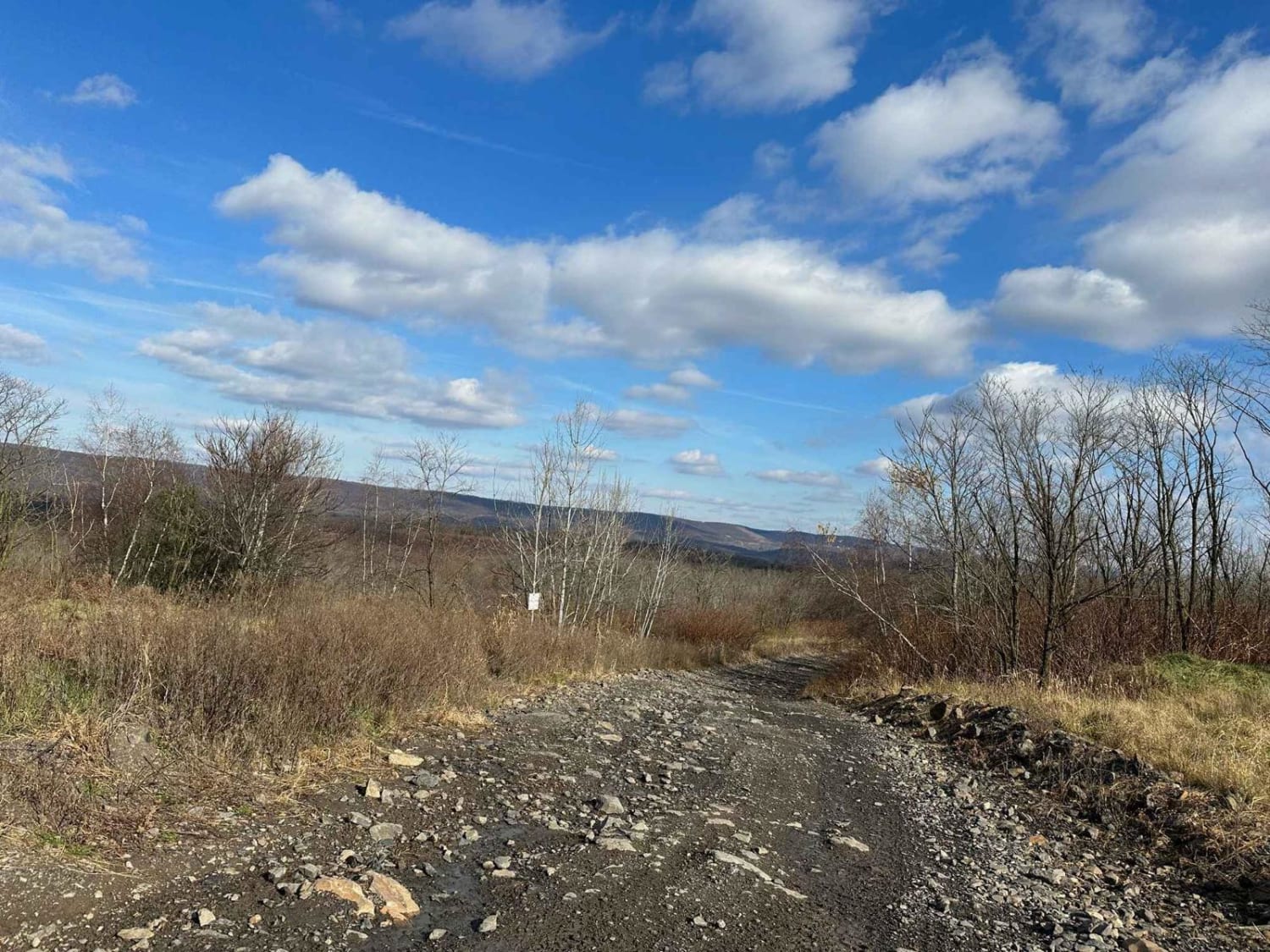 ATV Trail 2