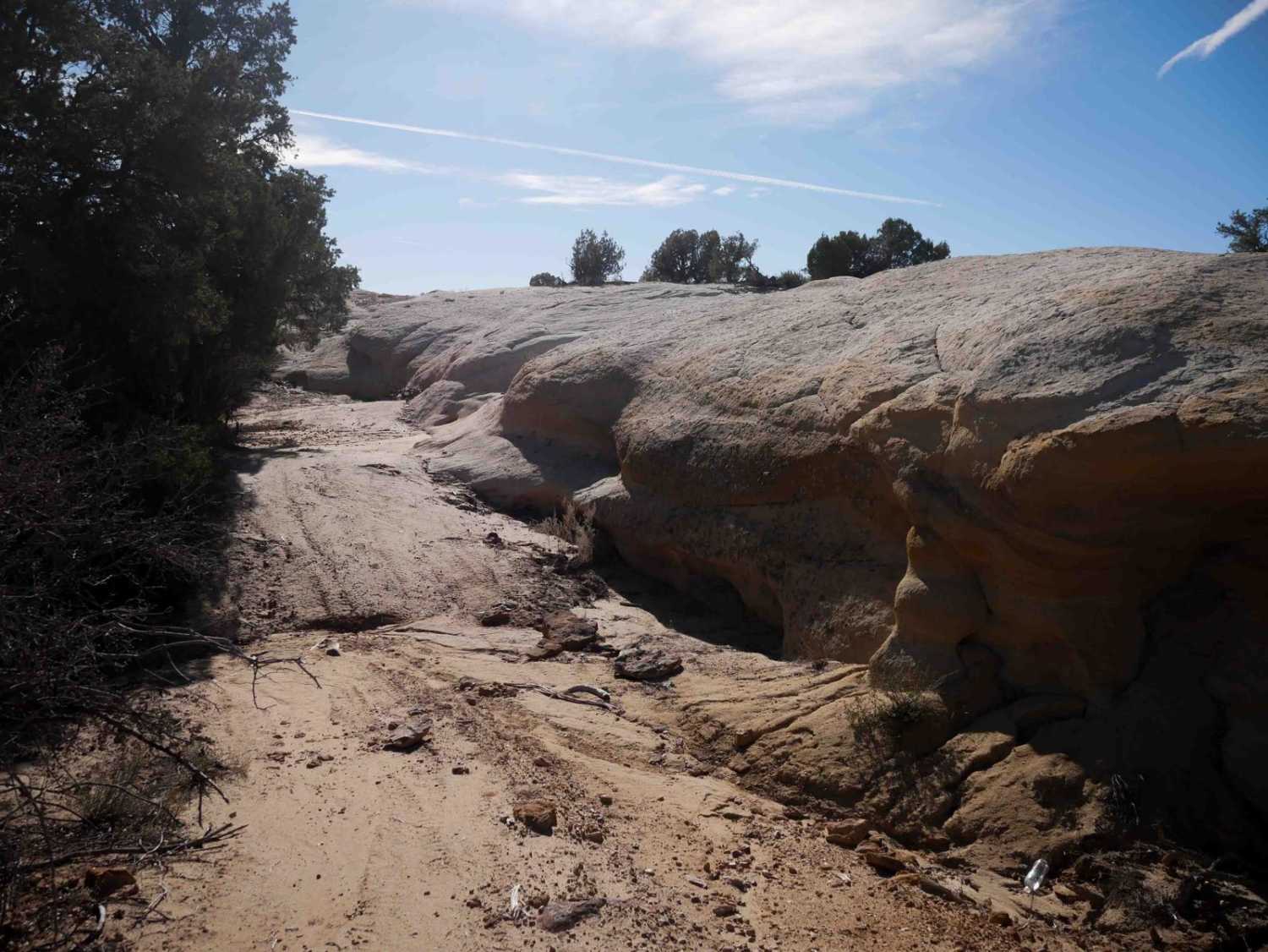 Hidden Trail 