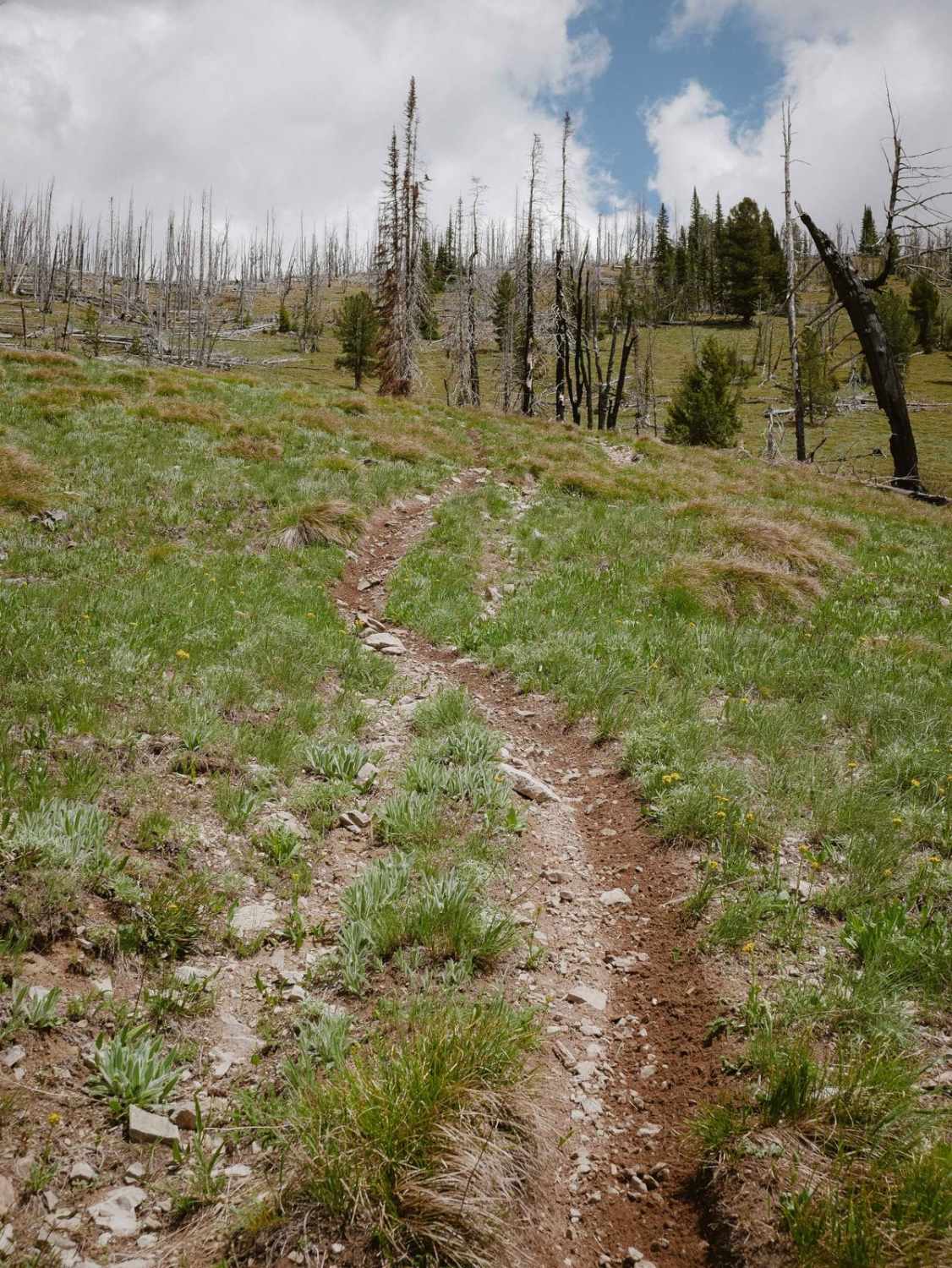 Three Mile Ridge  
