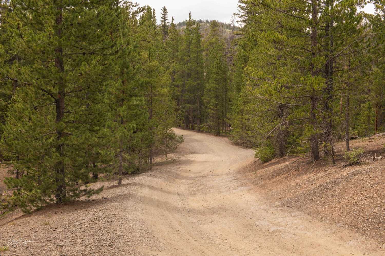 American Gulch Road - FR 567