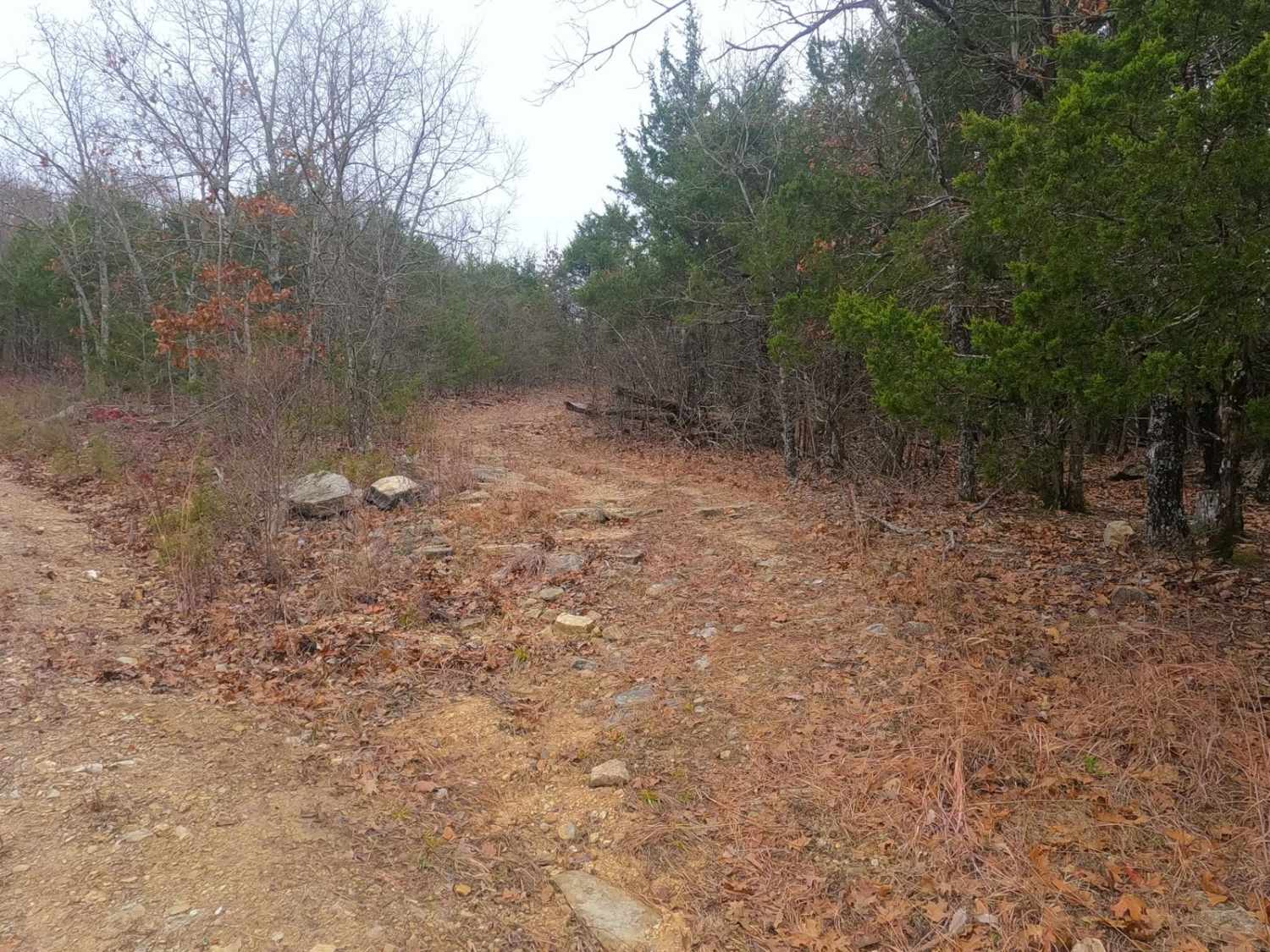 Fort Bald Spur - FS 612A