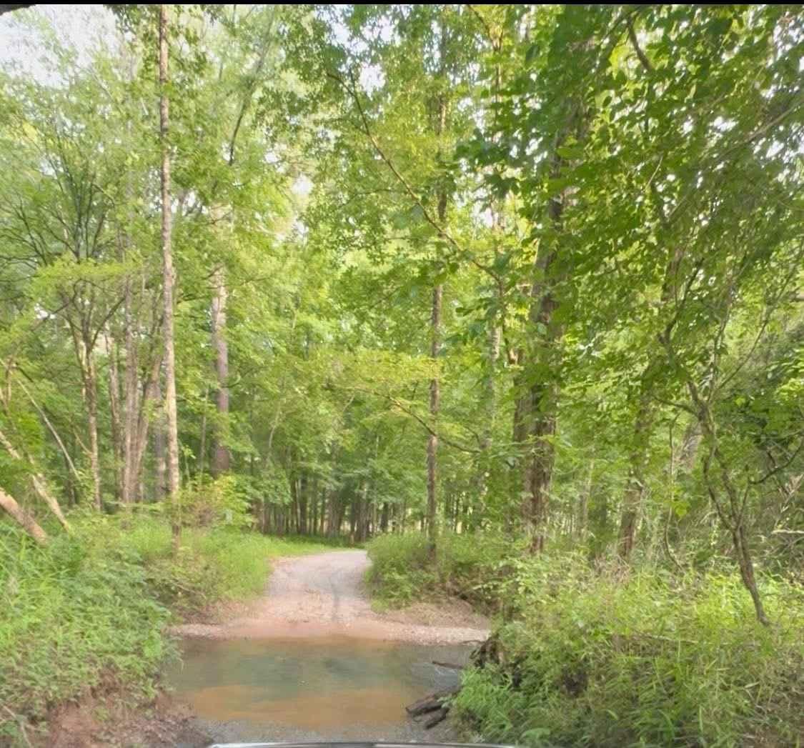 Bridge Out Trail