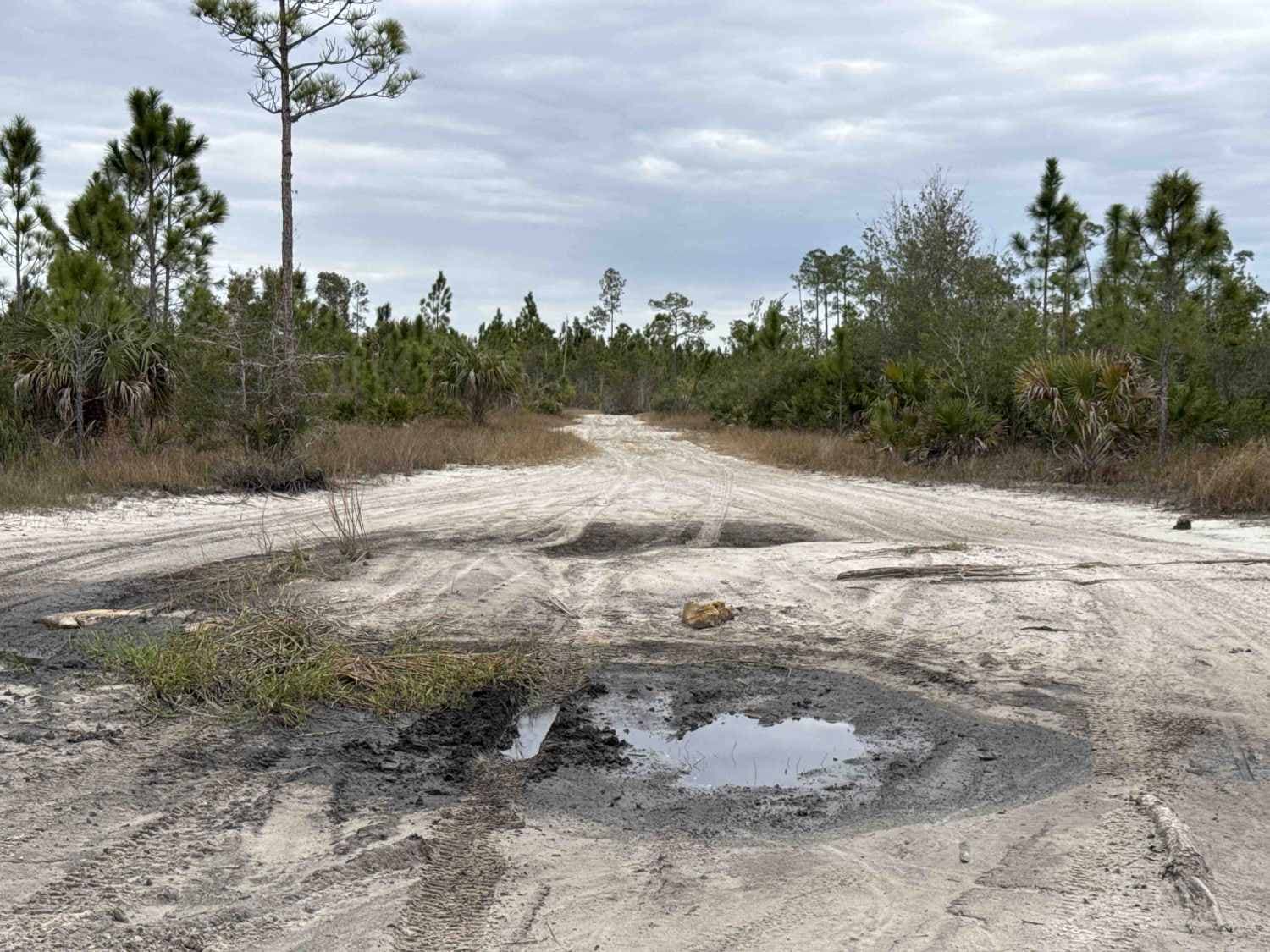 Shortcut Trail