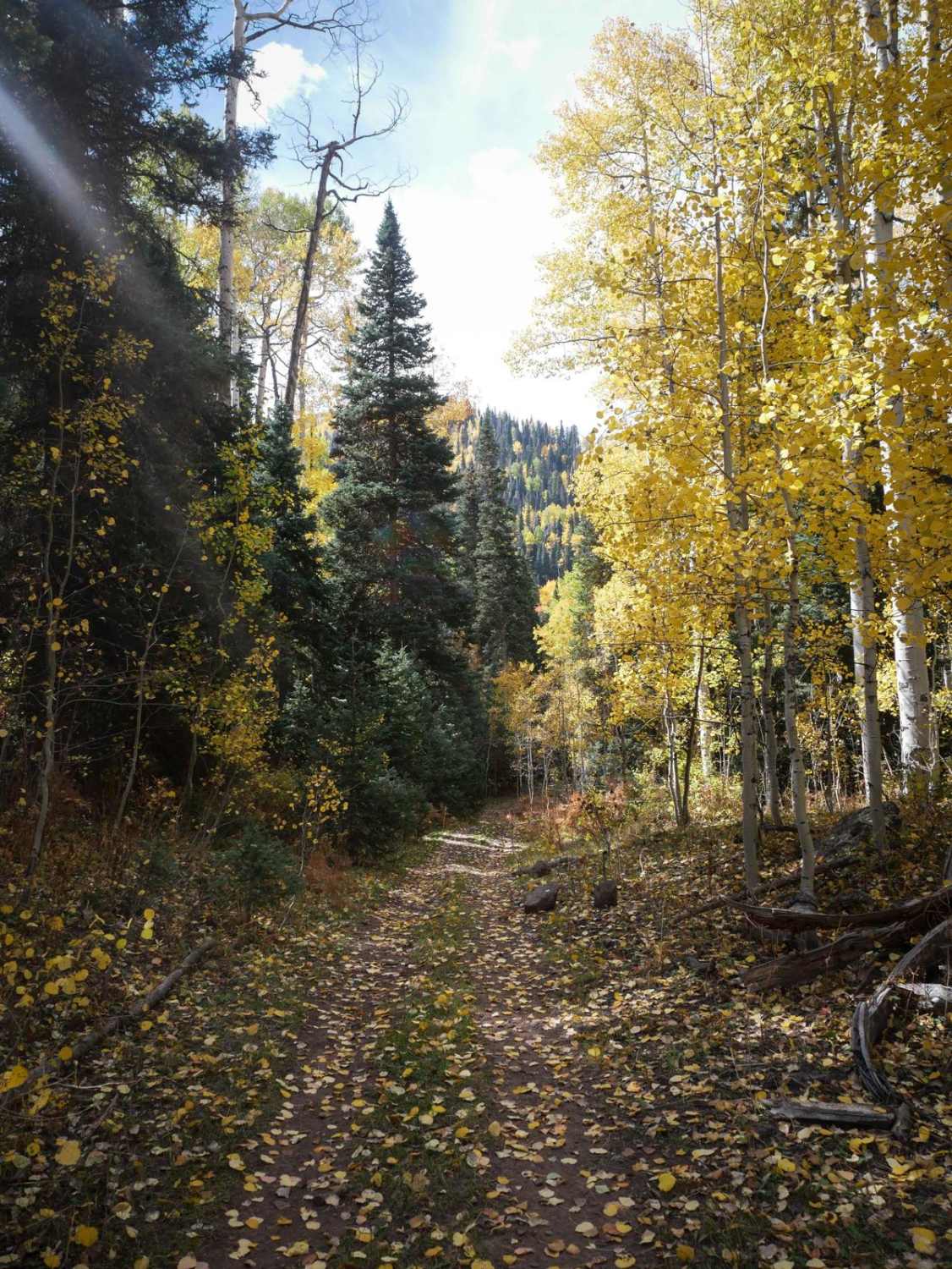 Stealey Mountain Spur ATV
