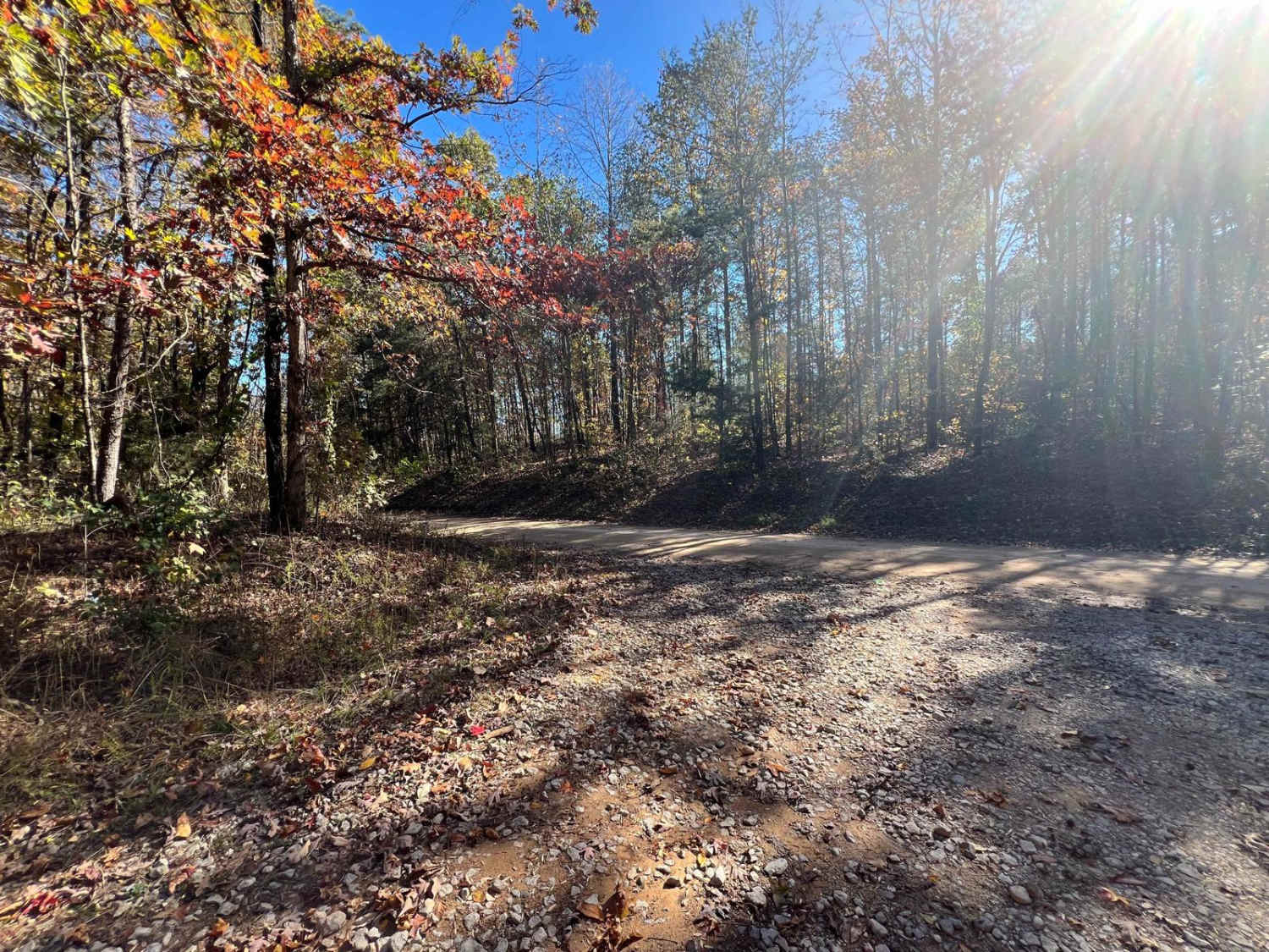 Flat Mountain Road - FS 270C