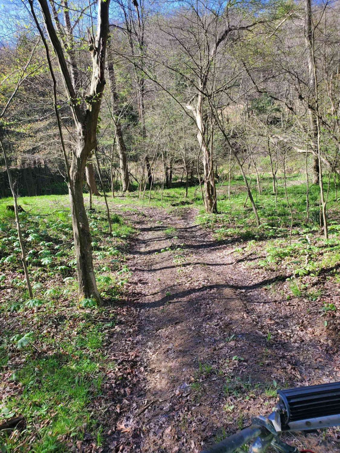 The Track