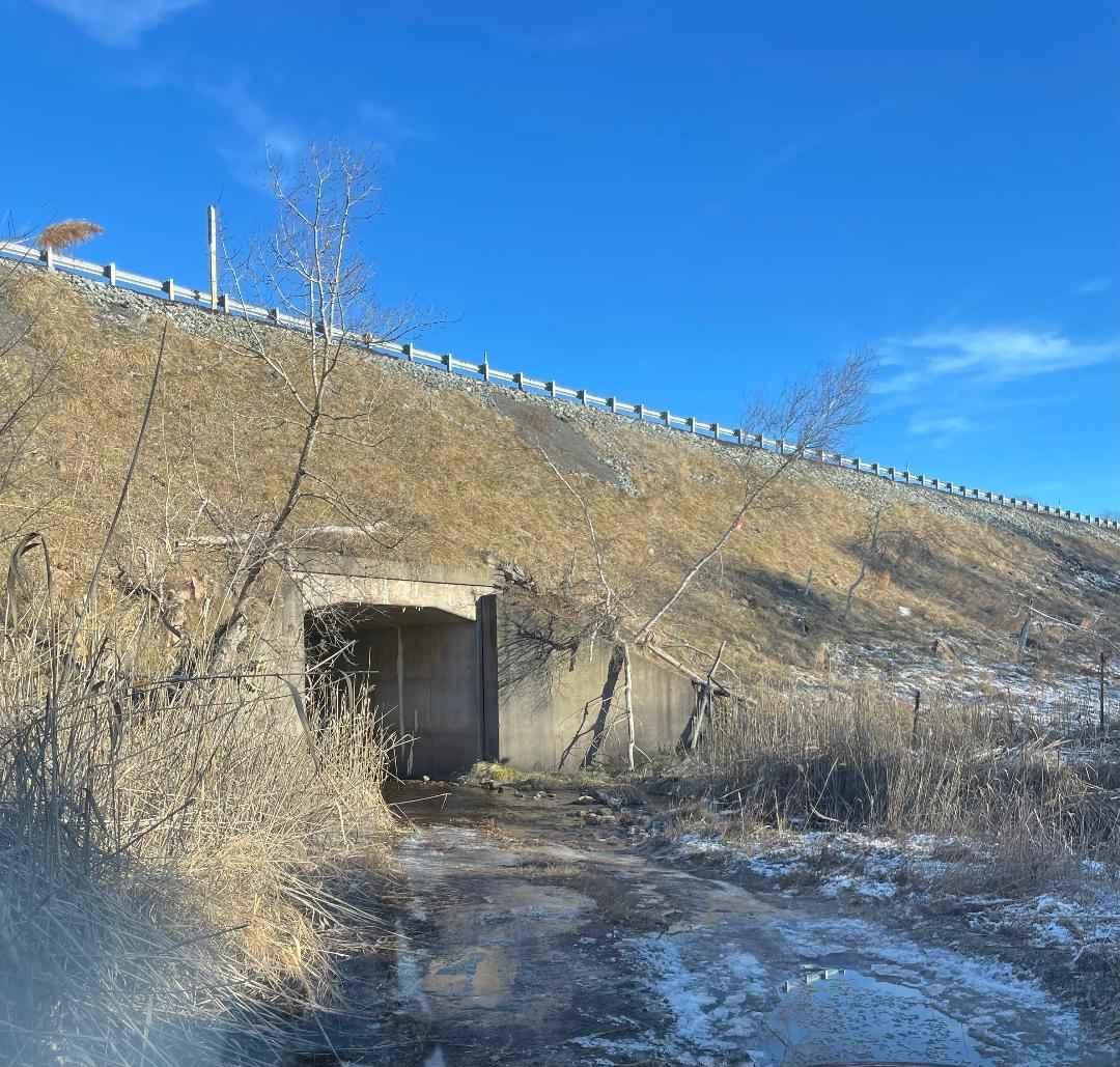 4th Run Trail