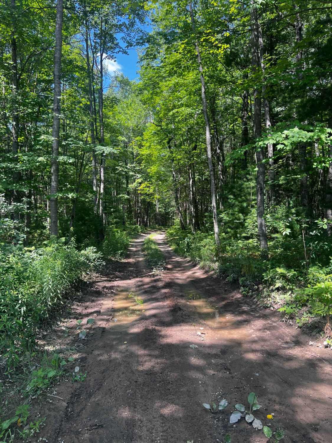 River Overlook Trail
