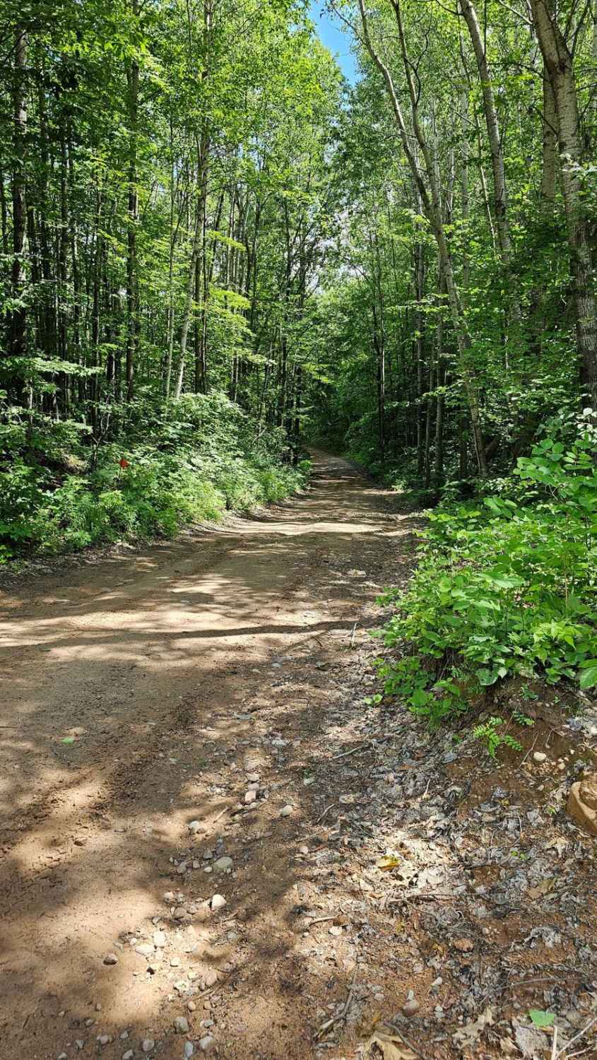 Bloomer County Forest Trail