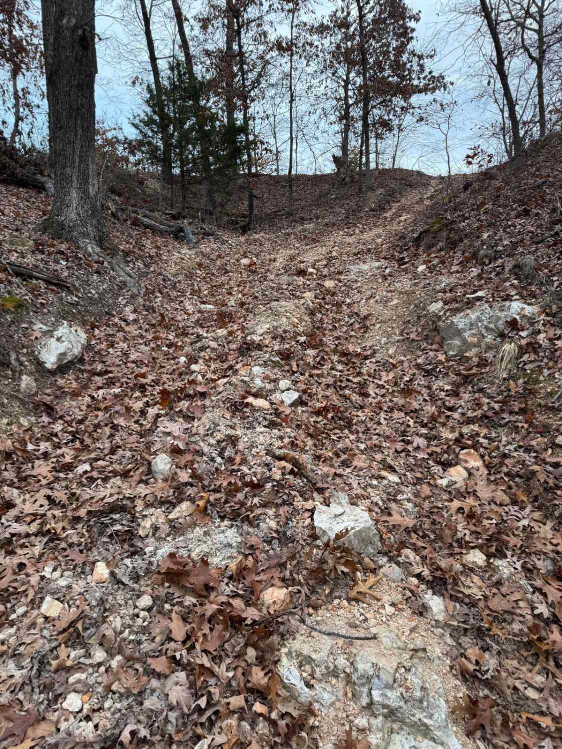 Arch Cave Cliff Drive - 274