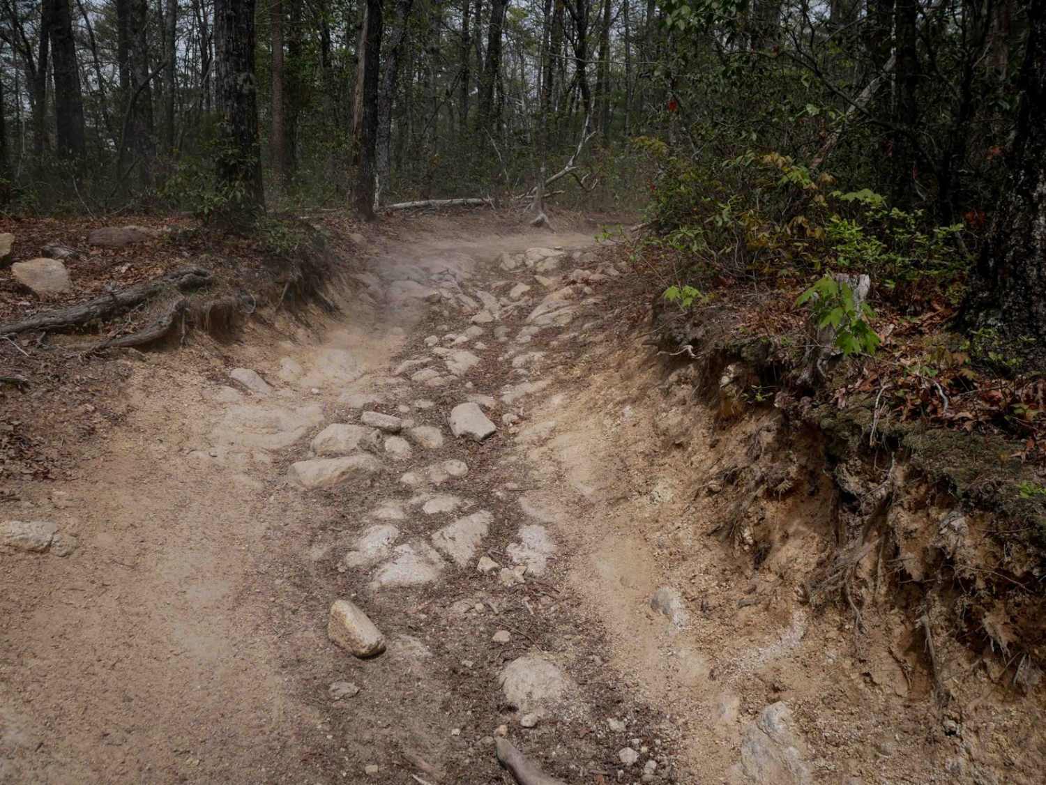 Trail 1B 