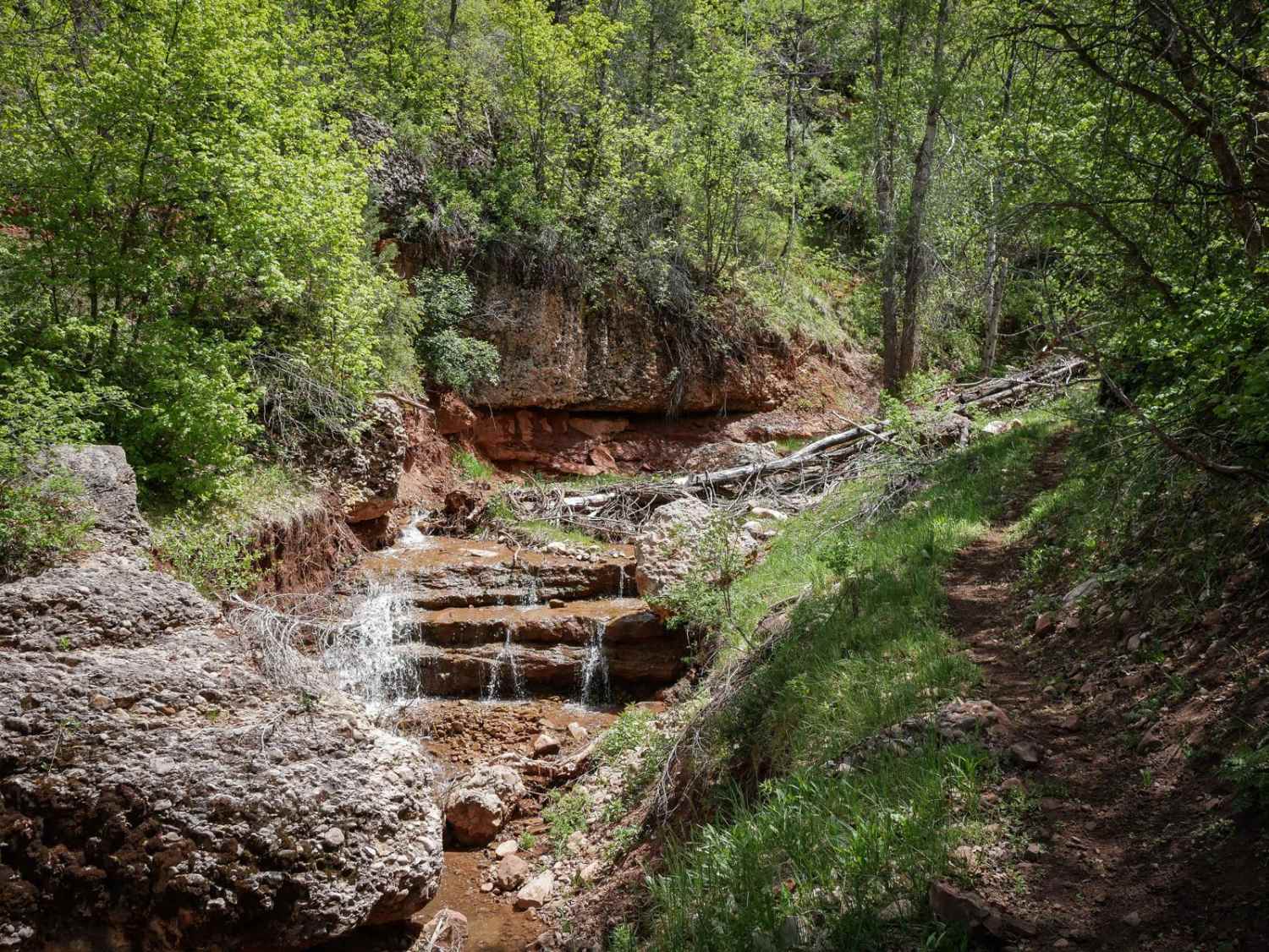 Jocks Canyon