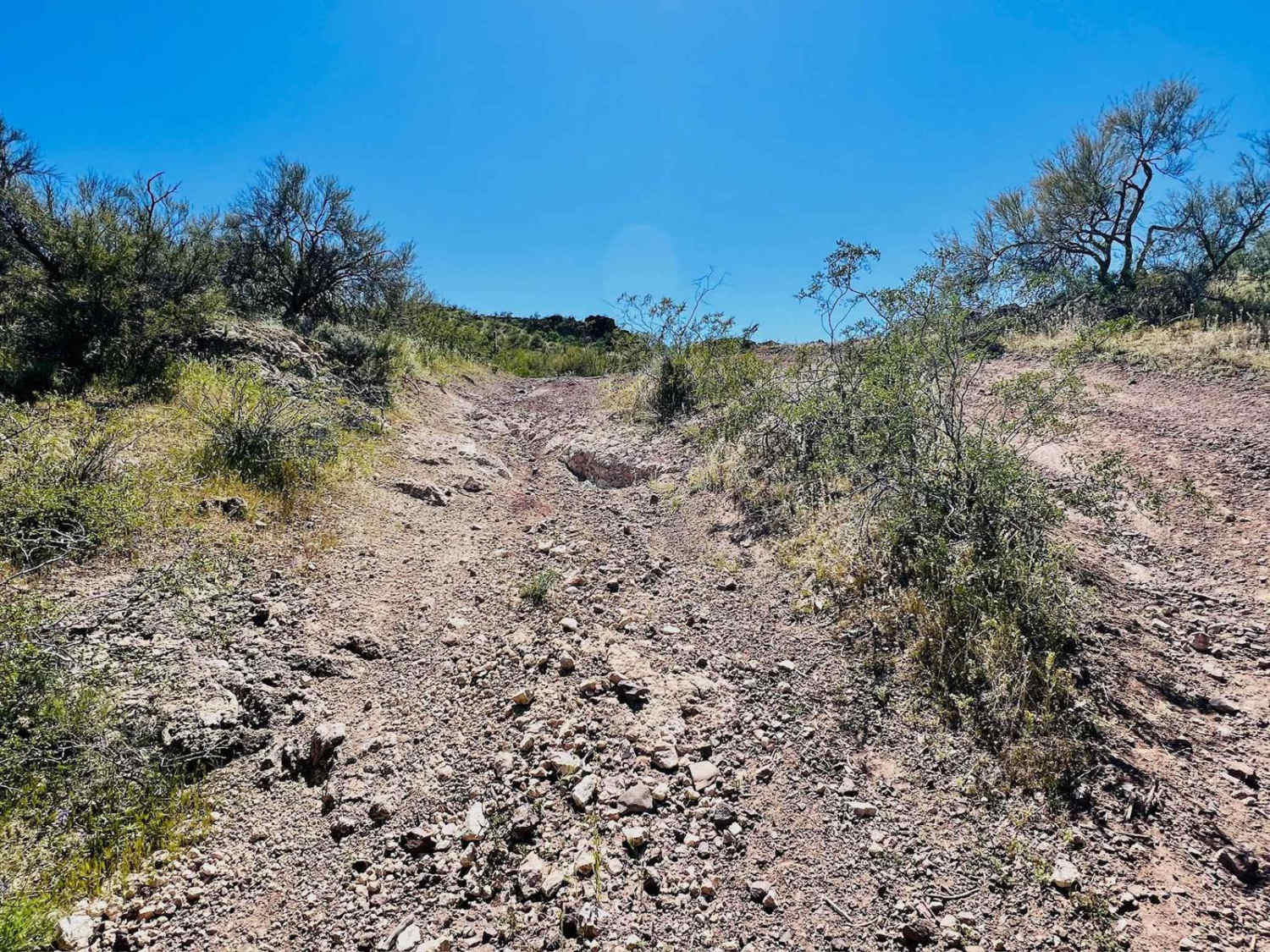 Twin Peaks Trail