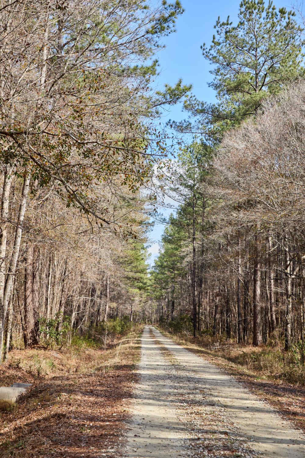 FSR124 - Freeman Road