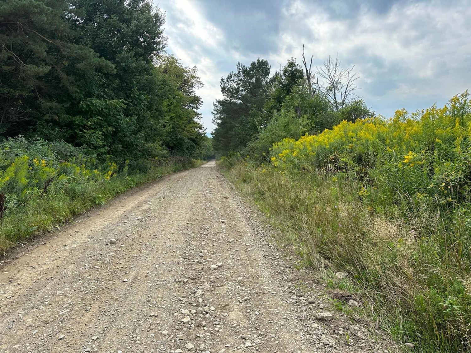 Emerson Road