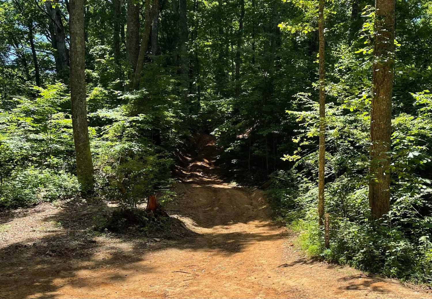 Beasley Knob Trail 93G