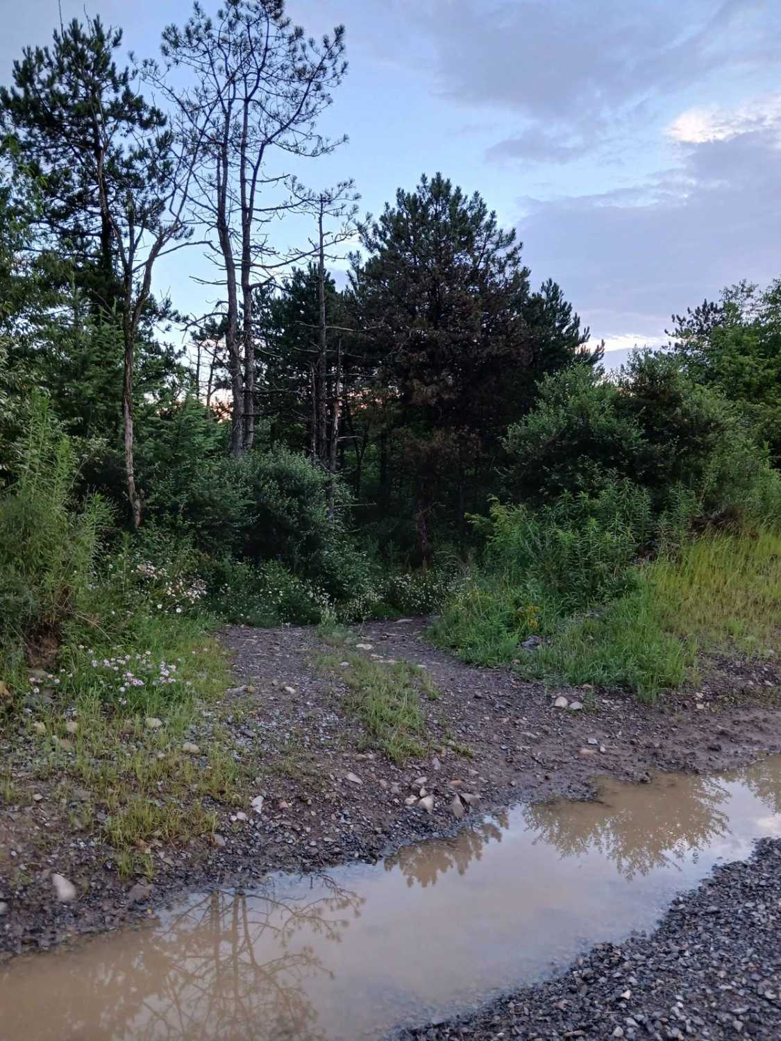 Trail 12U - Rock Run Recreation Area