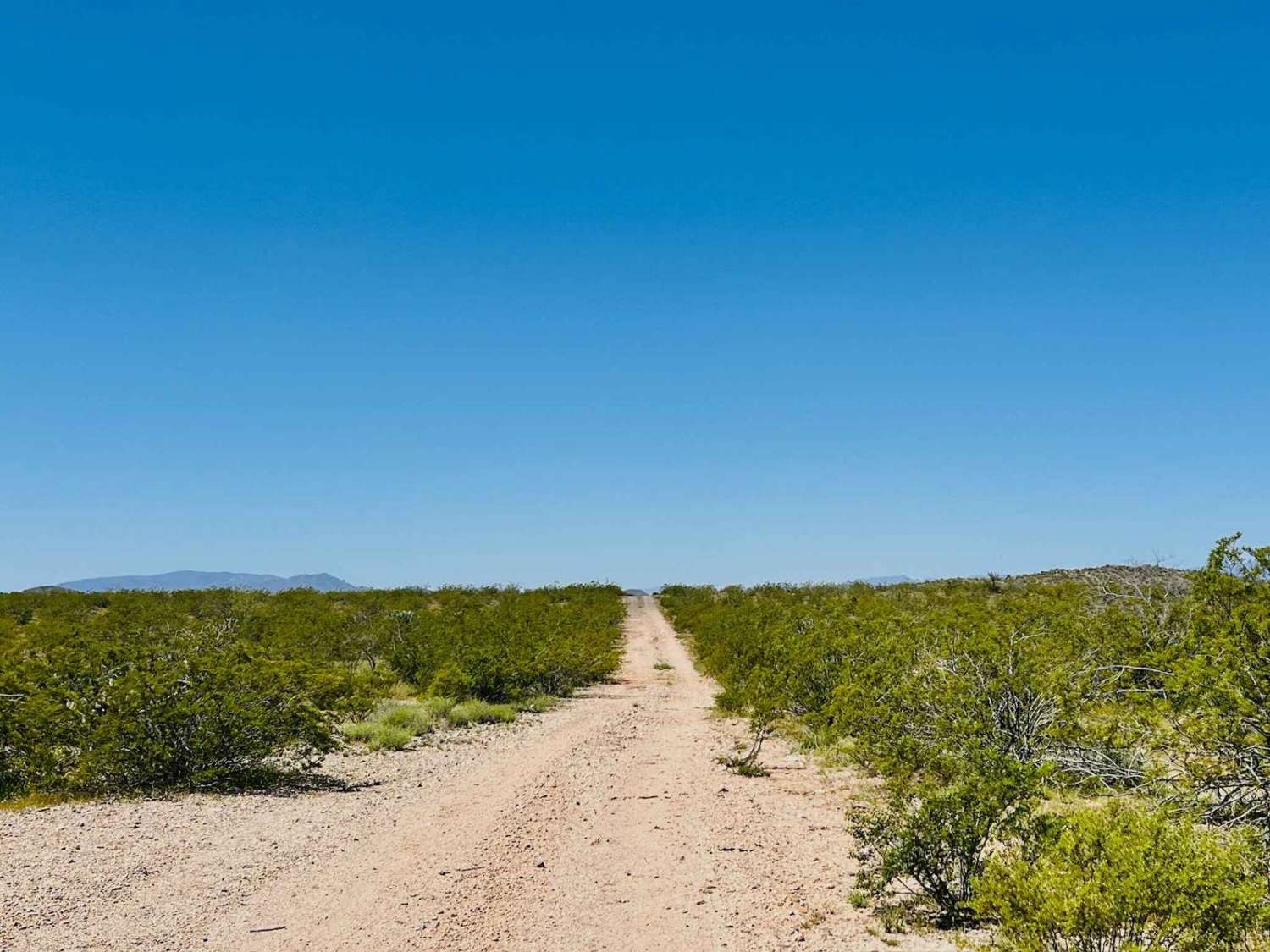Meander Along