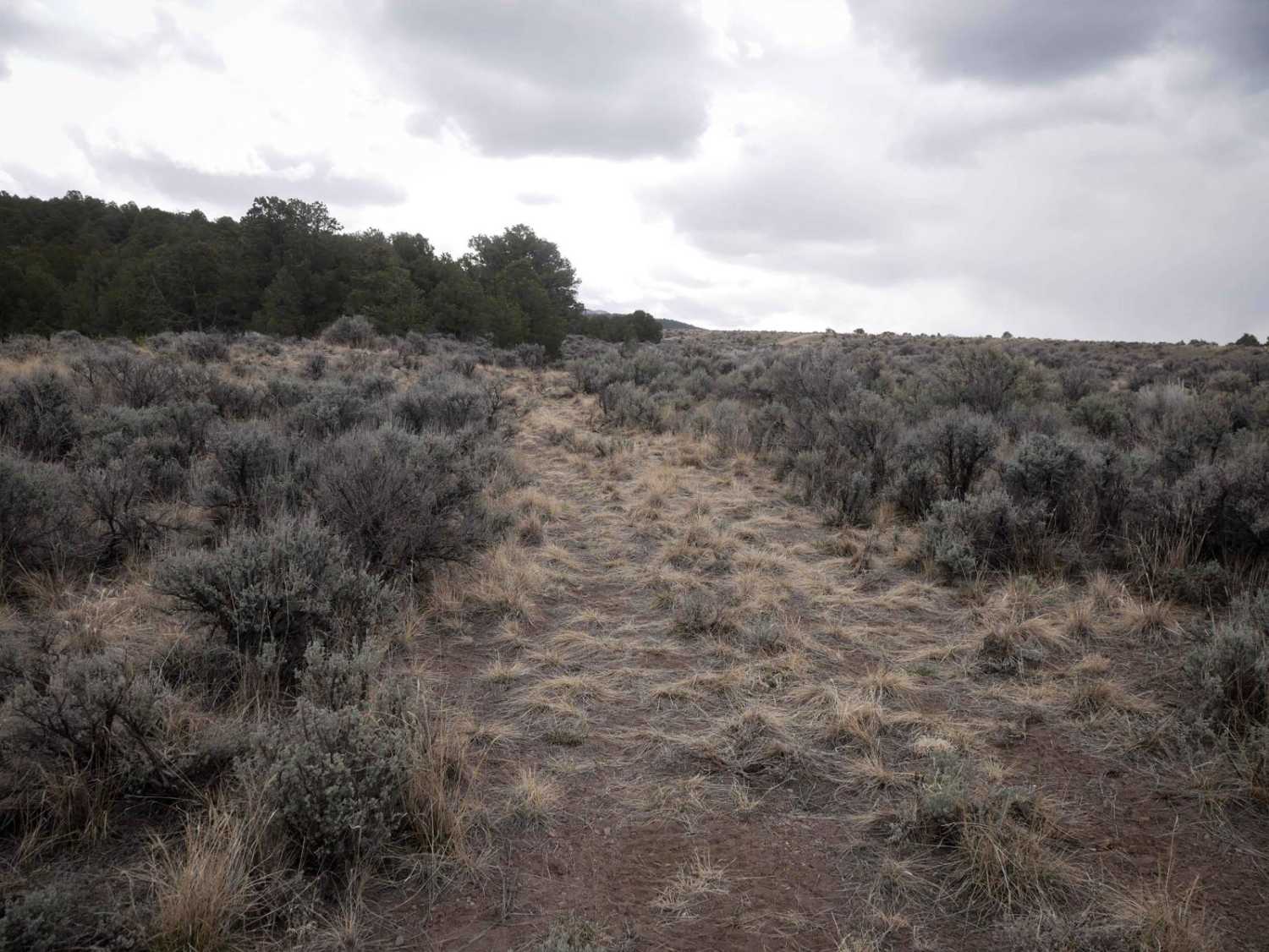 Marshall Canyon ATV Trail
