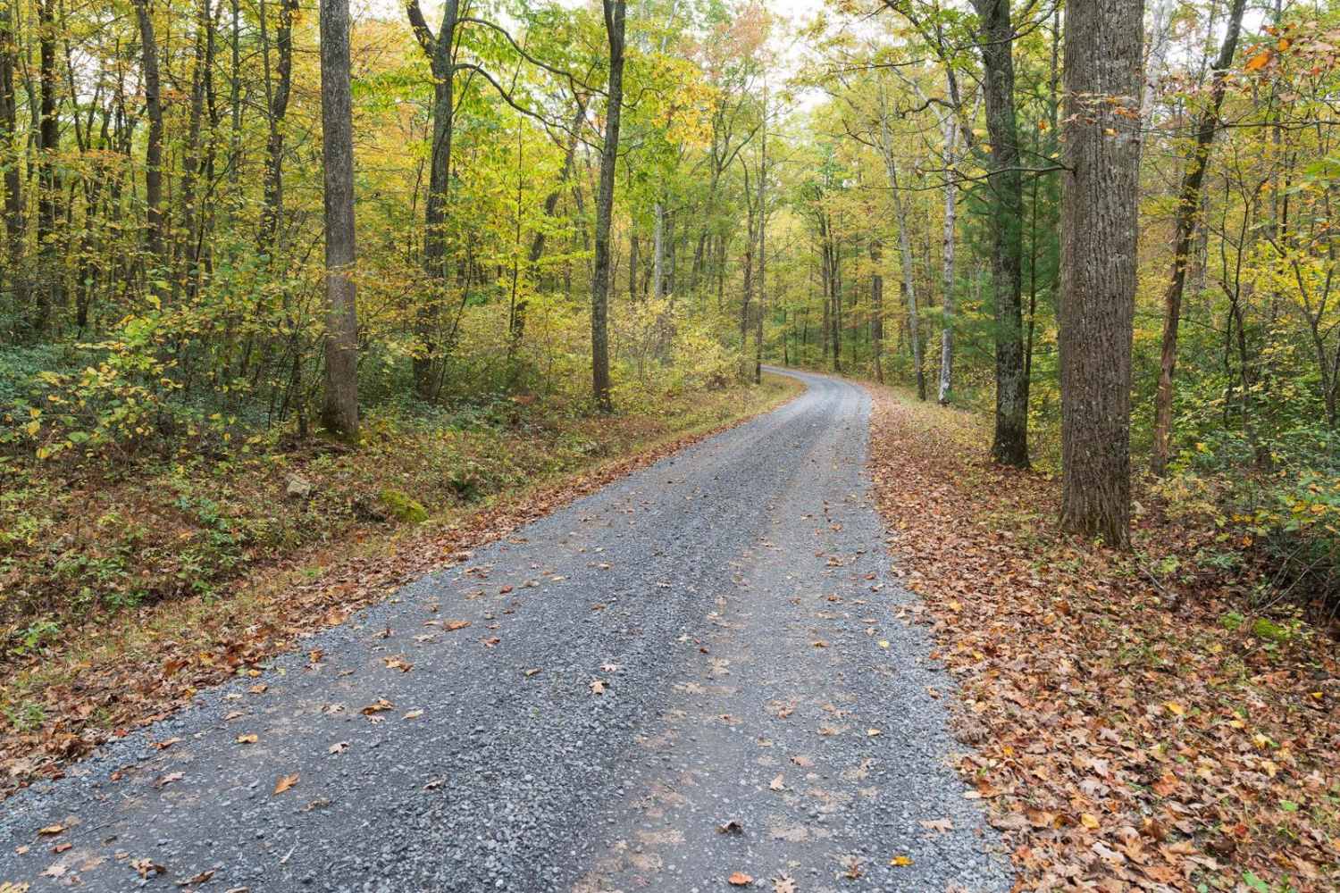 Pine Swamp Road