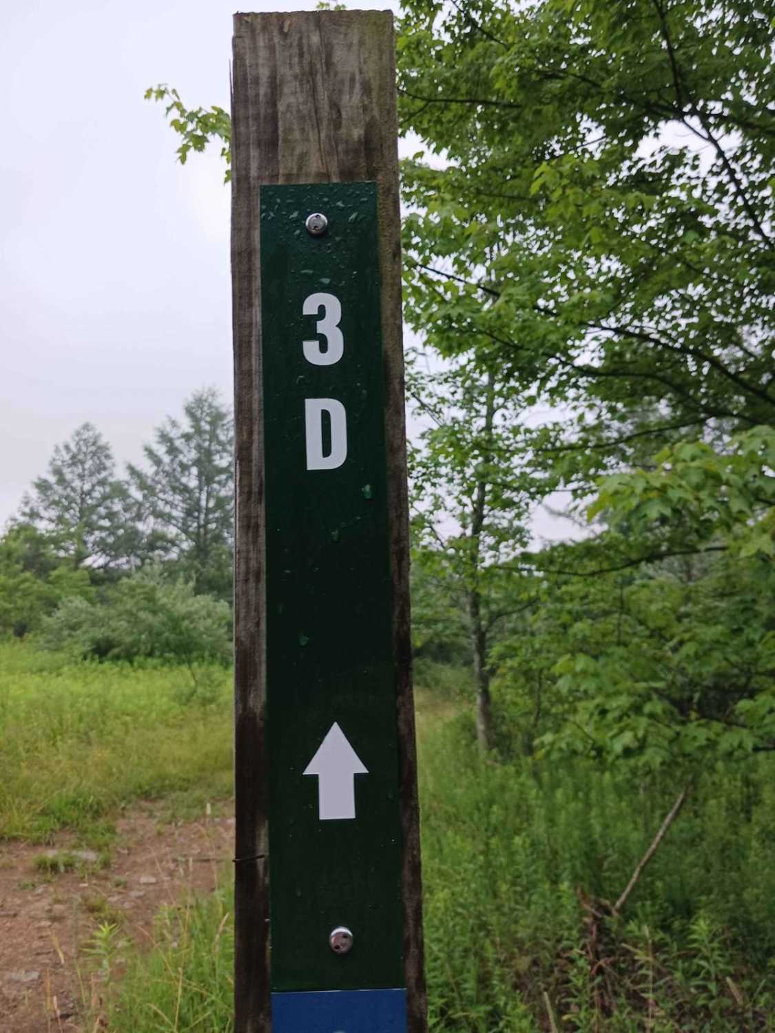 Trail 3D - Rock Run Recreation Area