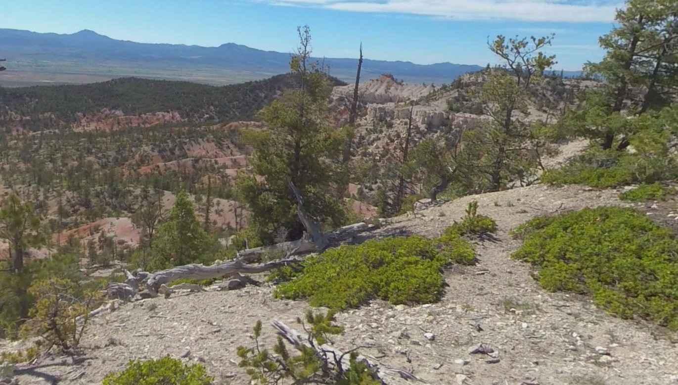 Peterson Point-NFR30697