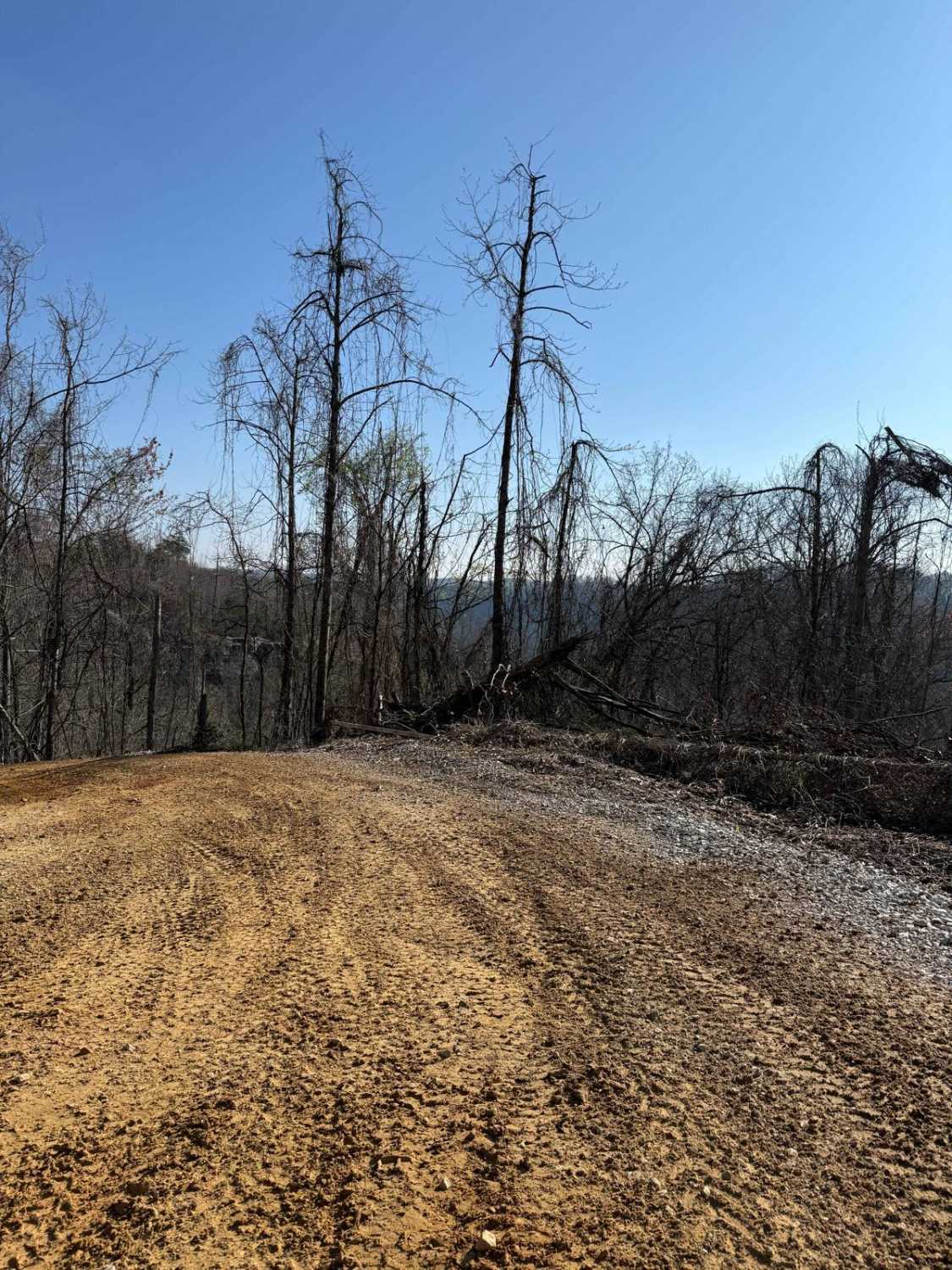 Trail 2