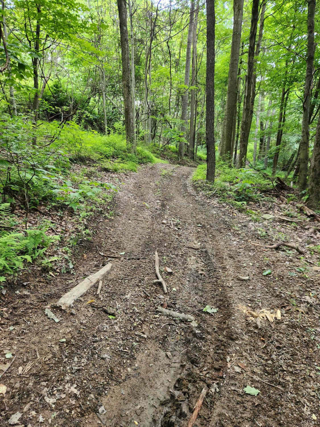 Trail 4B - Rock Run Recreation Area