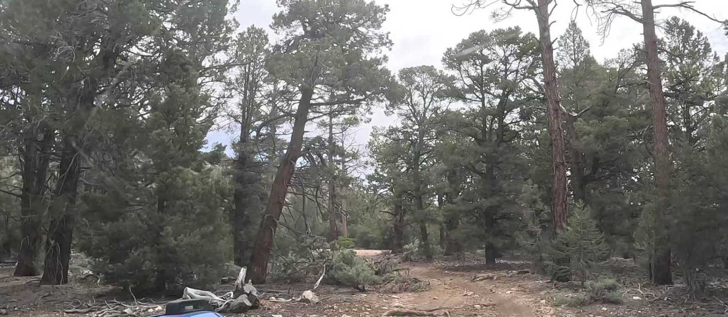 Upper Holcomb - 3N83