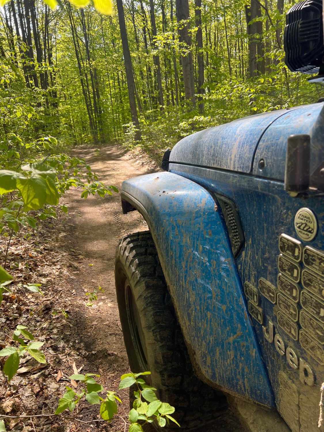 W-10 Trail