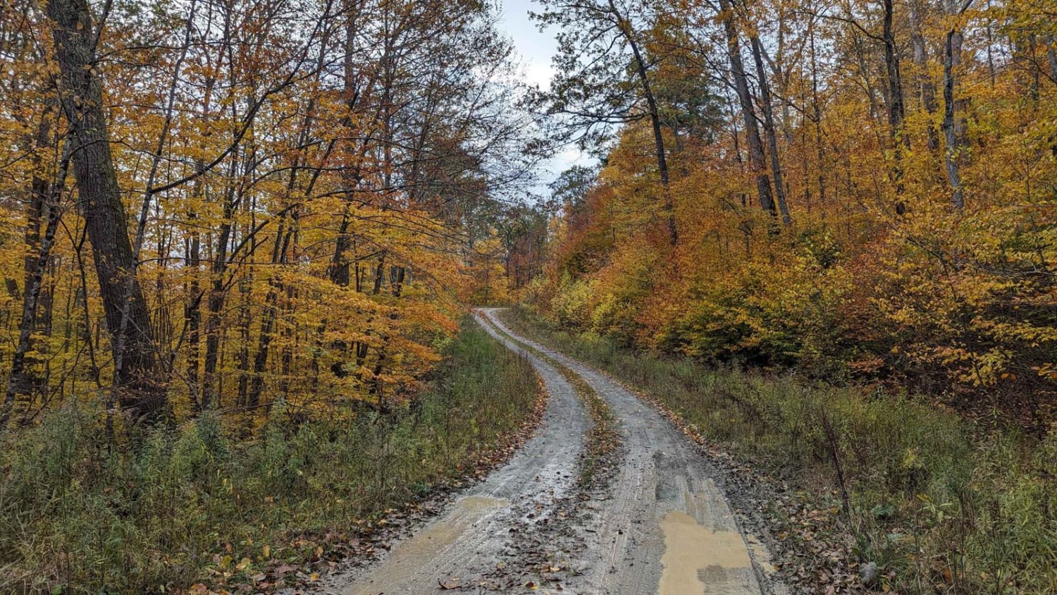 Cowdry Hollow to Comstock Hollow Road