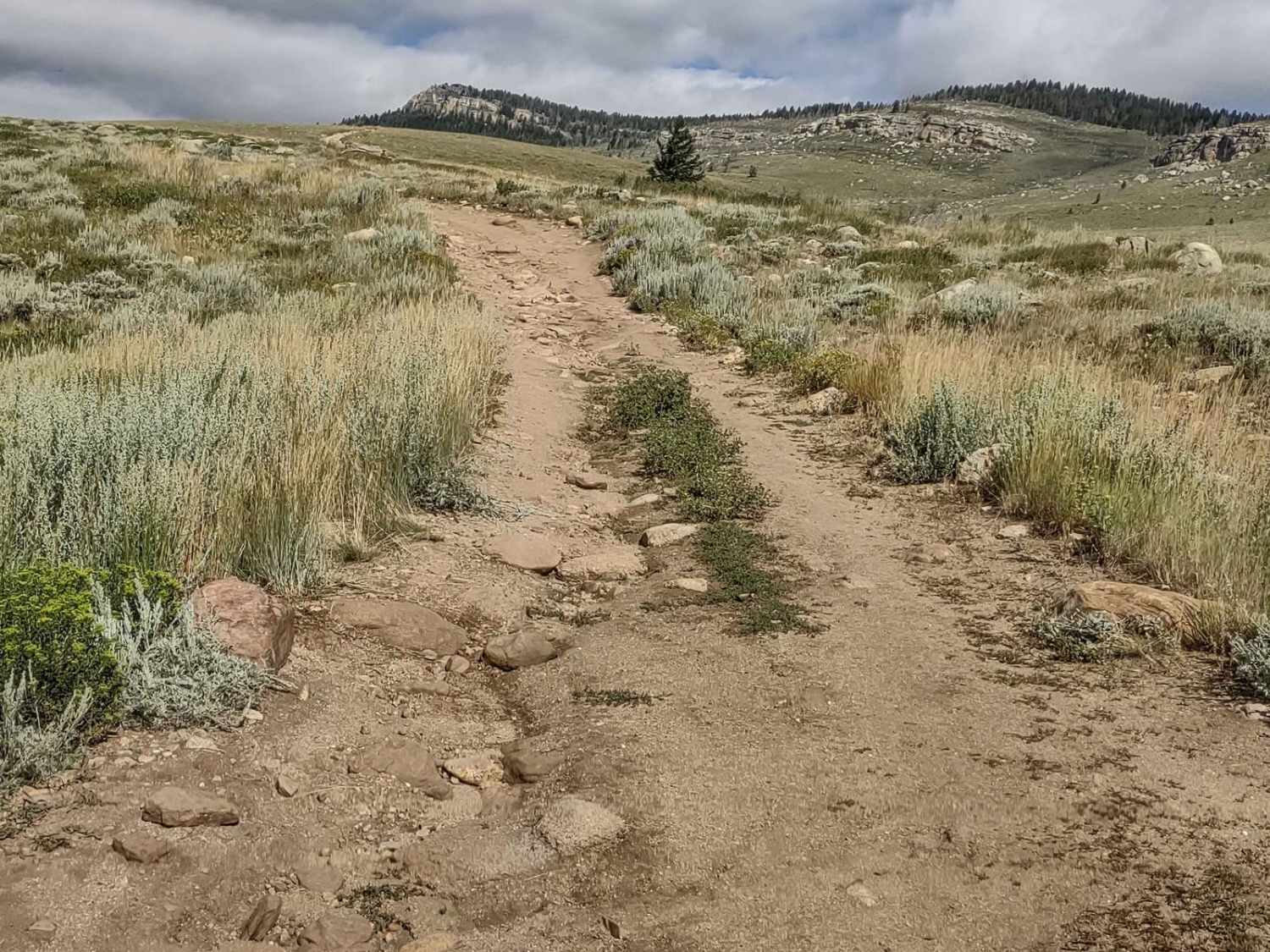 Indian 4WD Trail - FS 352