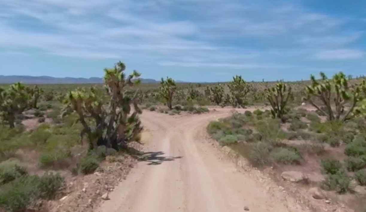 BLM30091